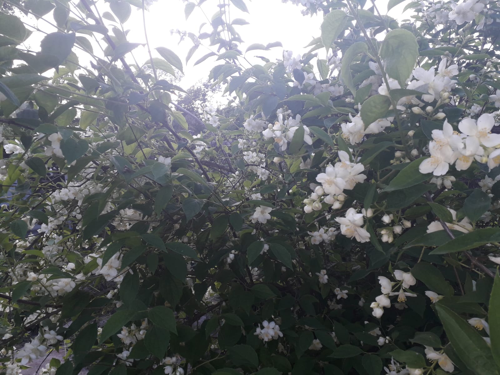 Azi despre ieri – 7 iunie 2019