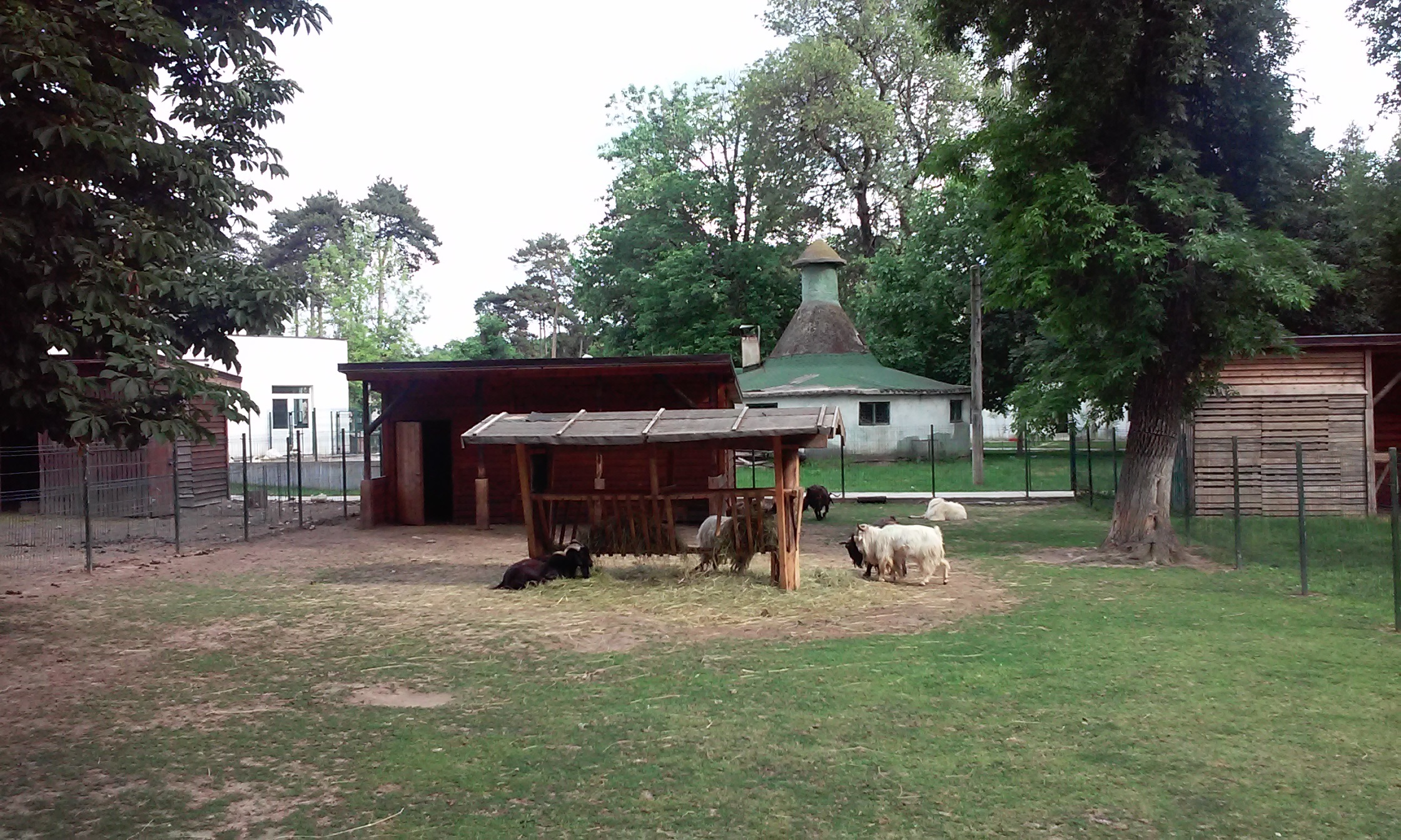 Azi despre ieri – 30 iunie 2019