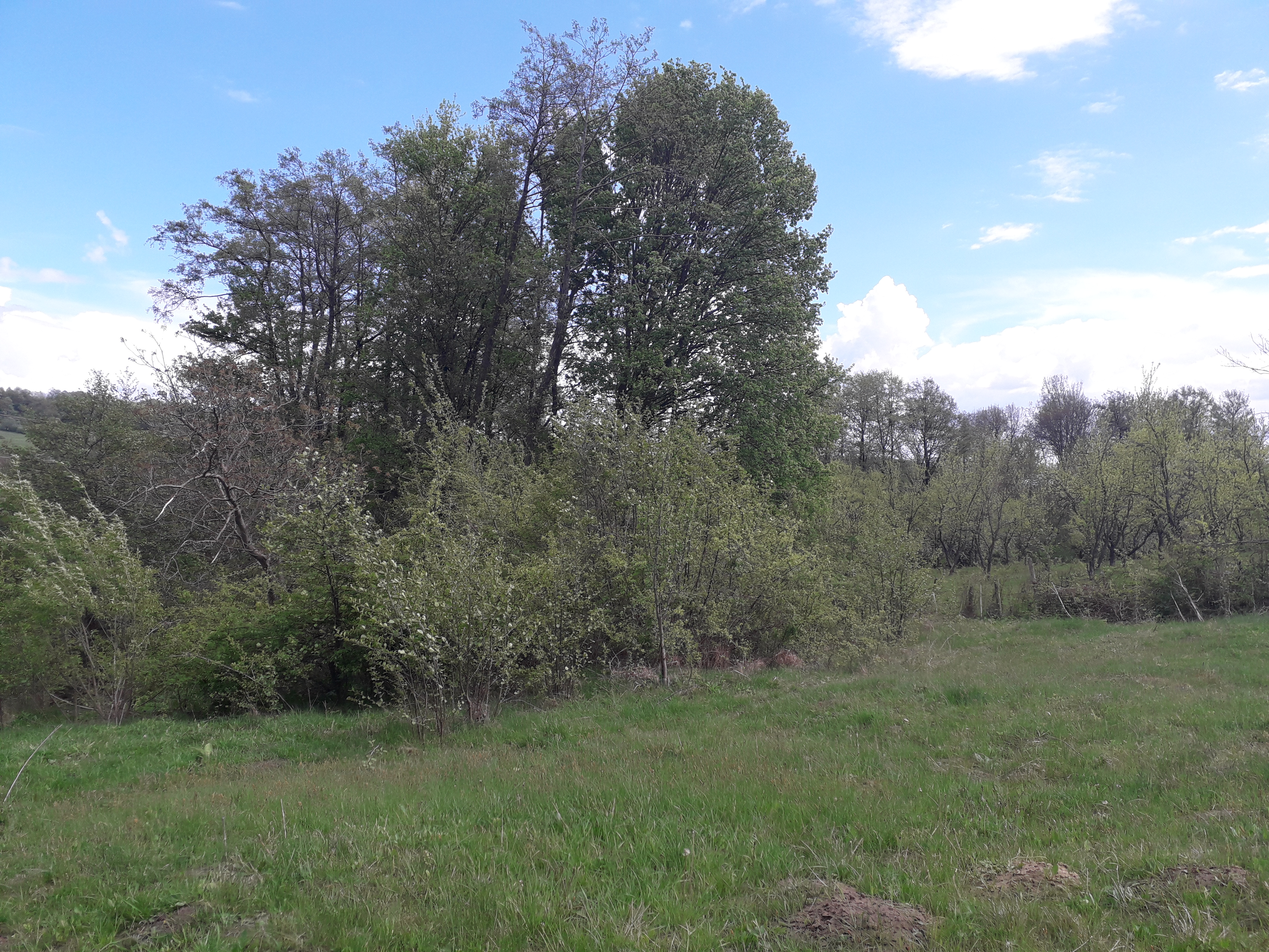 Azi despre ieri – 18 iunie 2019