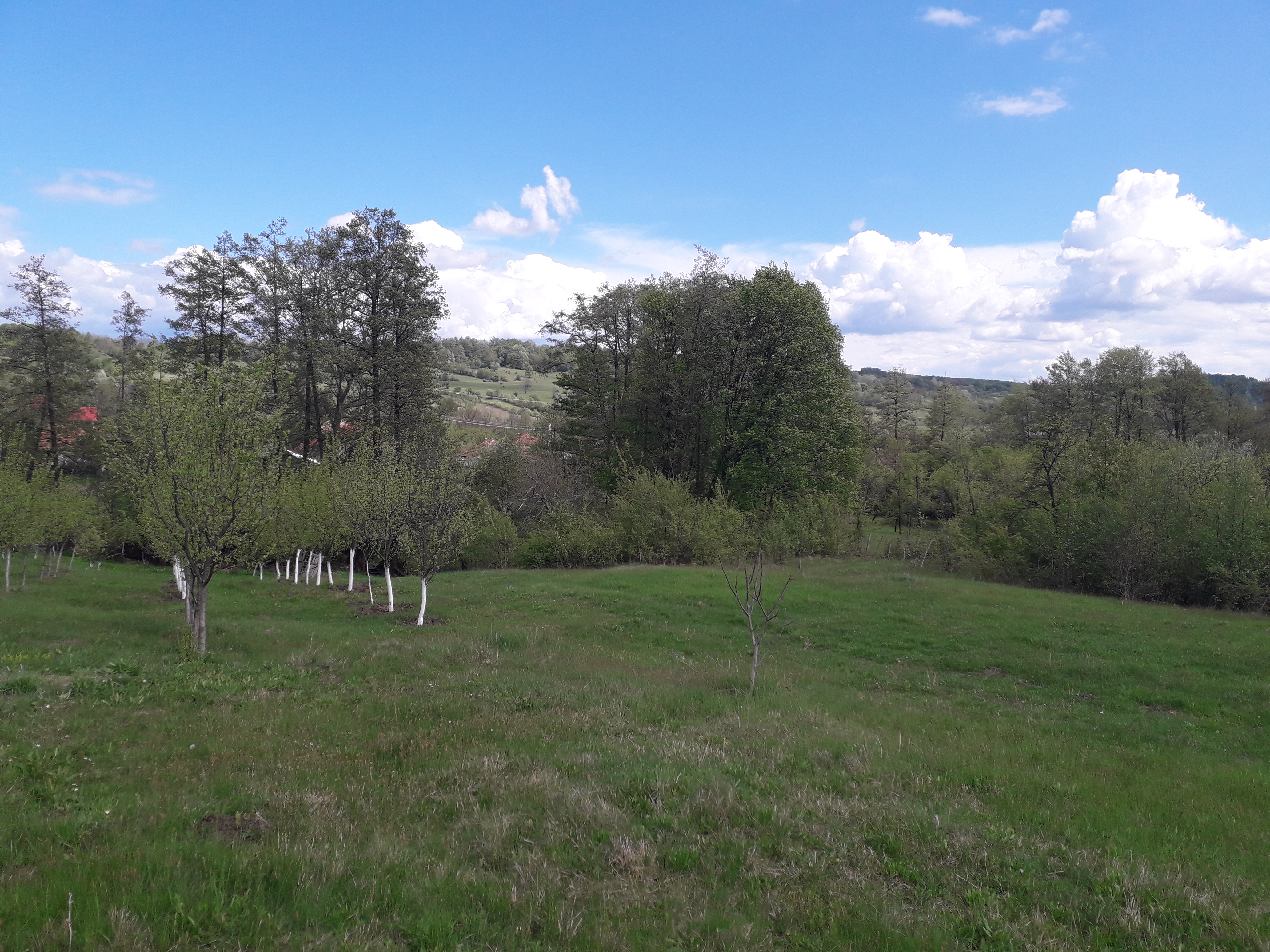 Azi despre ieri – 20 iunie 2019