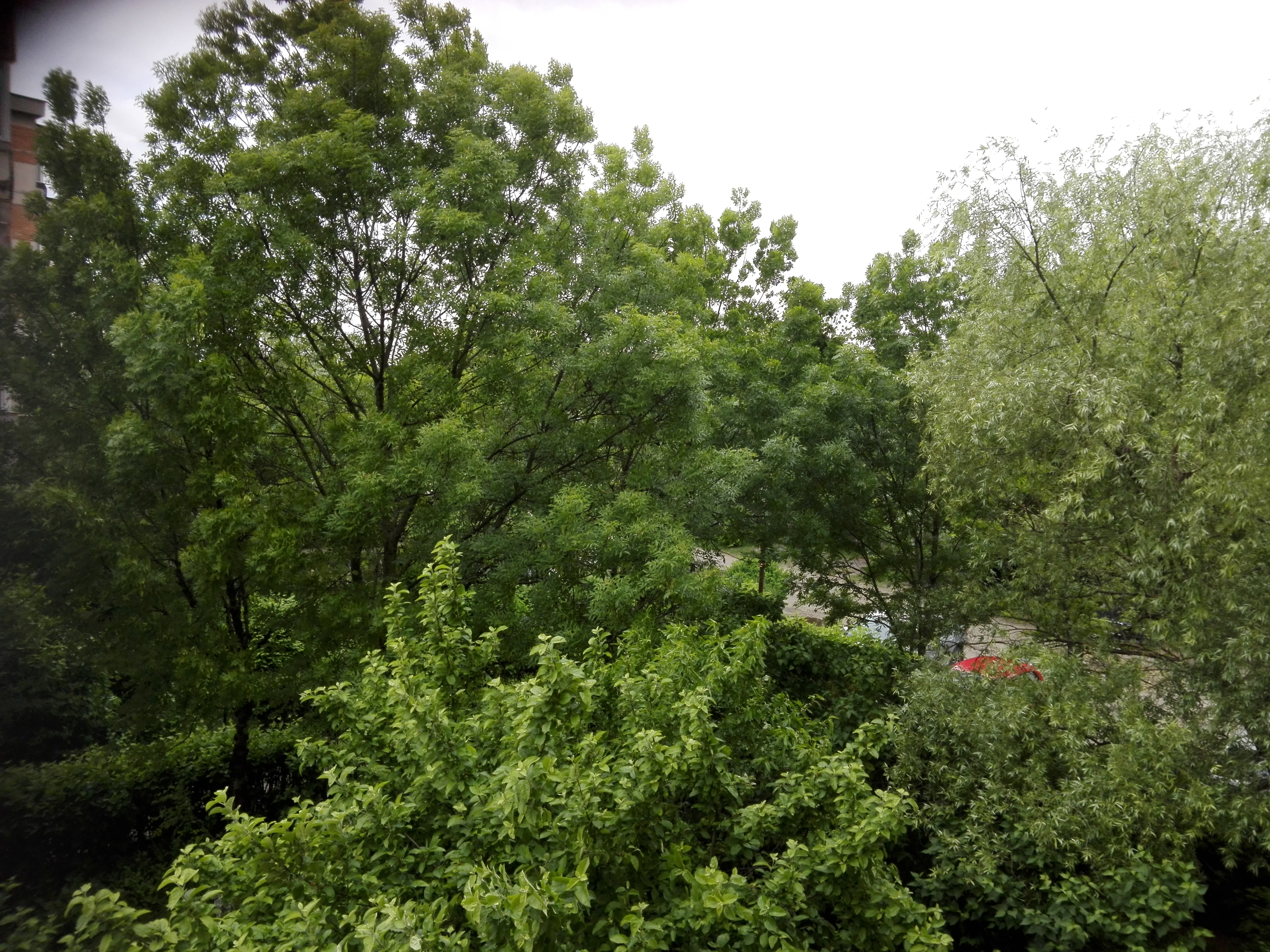 Azi despre ieri – 29 iunie 2019