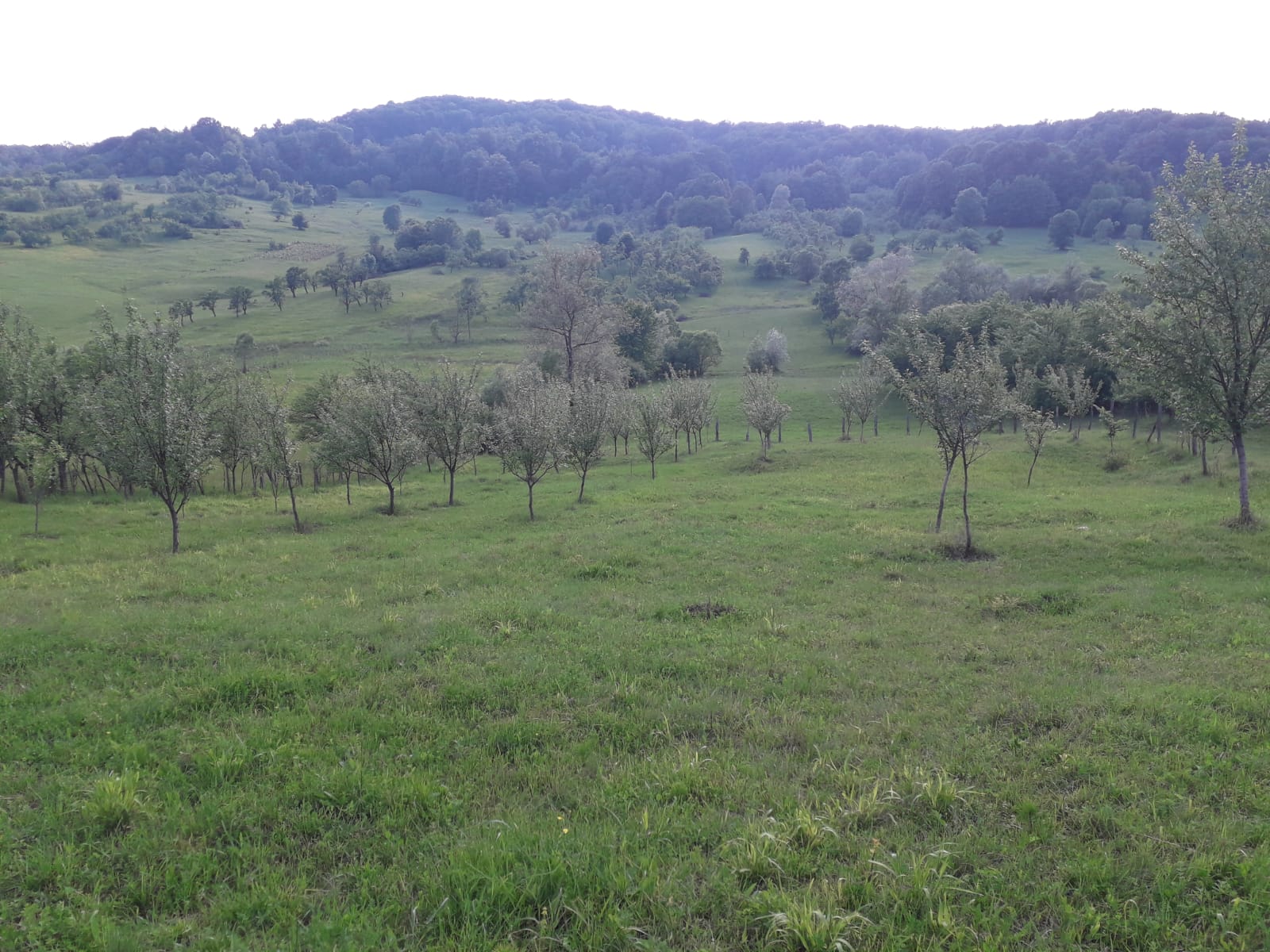 Vremea, sâmbătă, în Oltenia (audio)