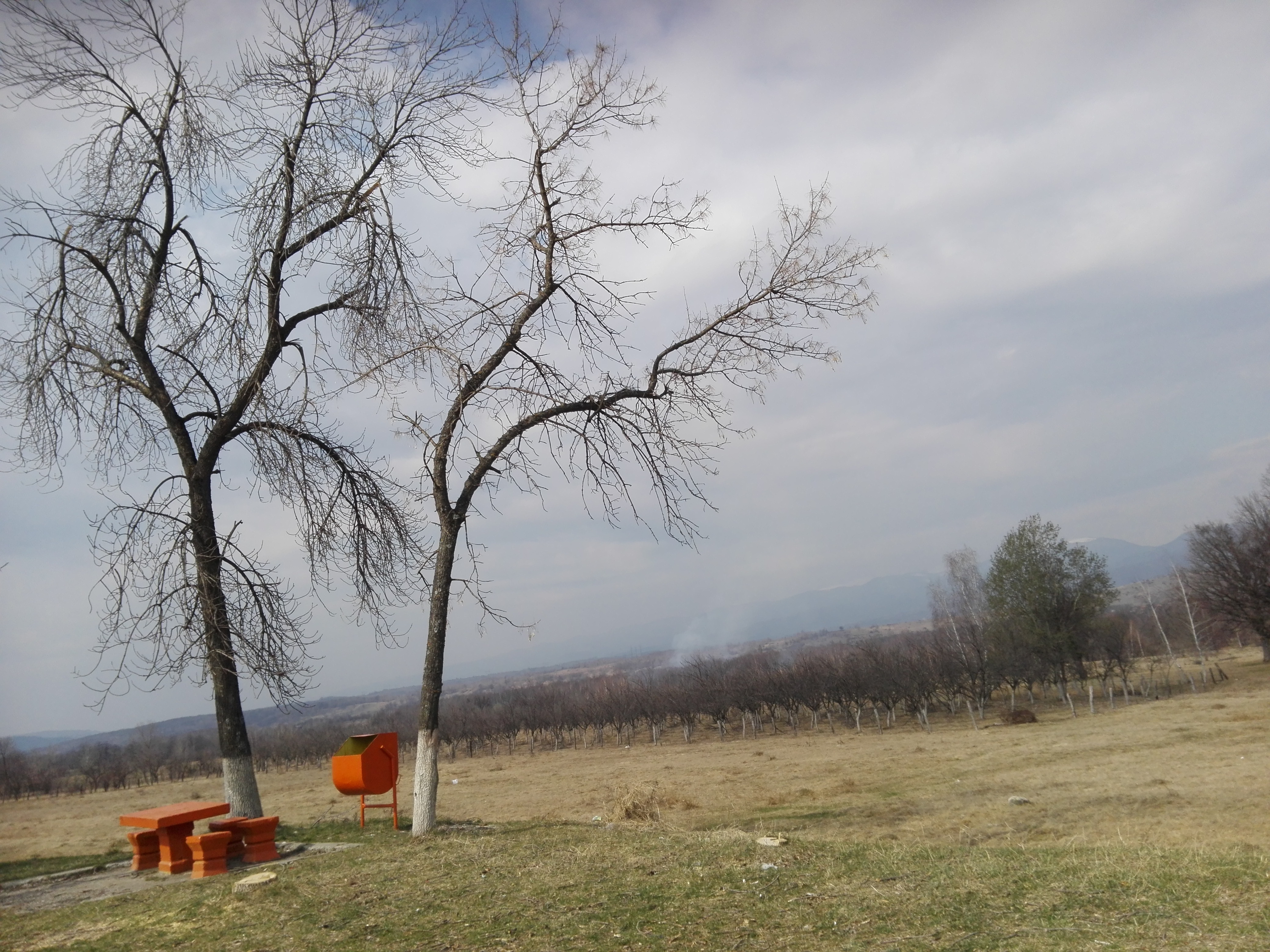 Azi despre ieri – 13 iunie 2019