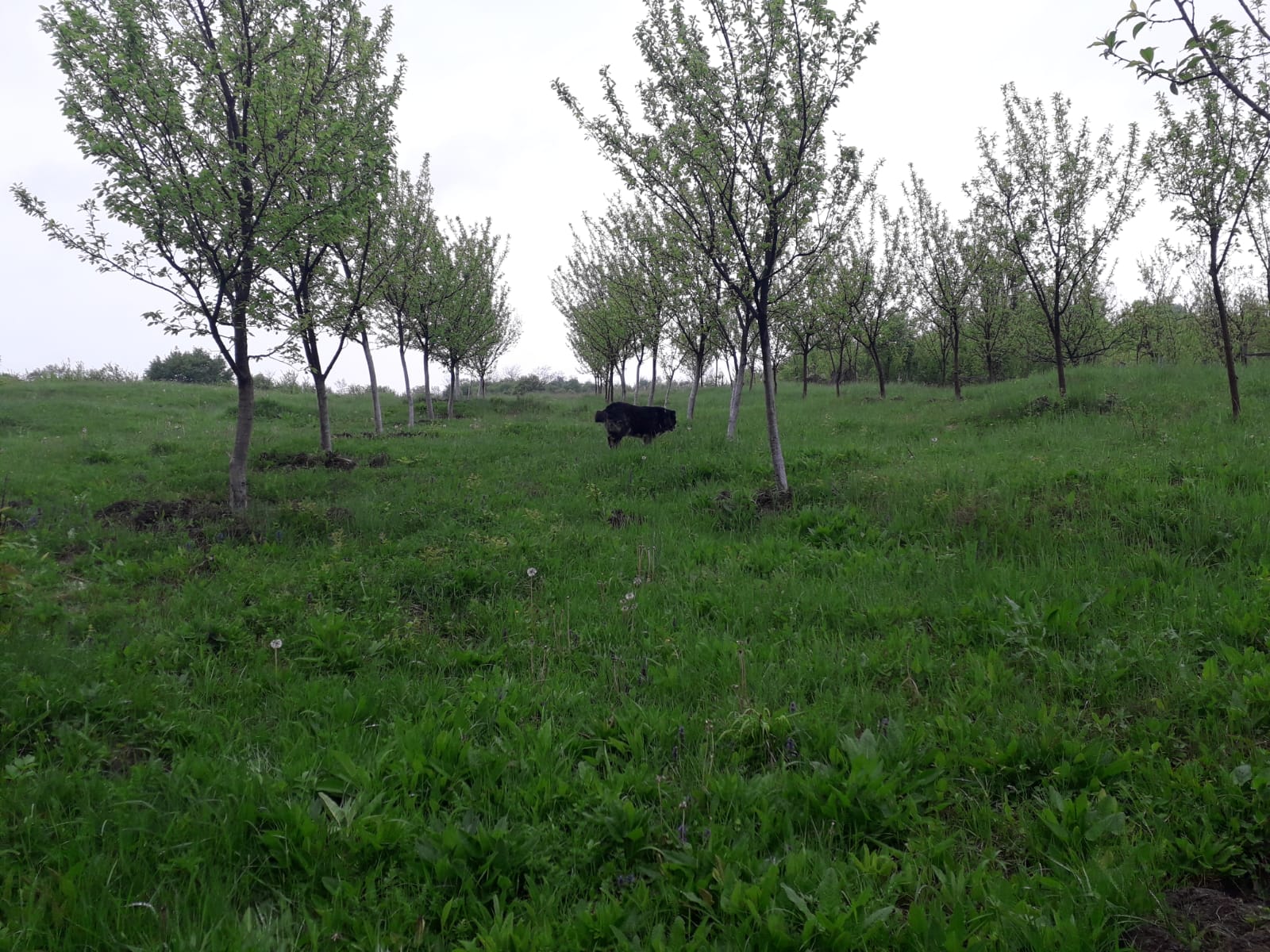 Vremea, duminică, în Oltenia (audio)