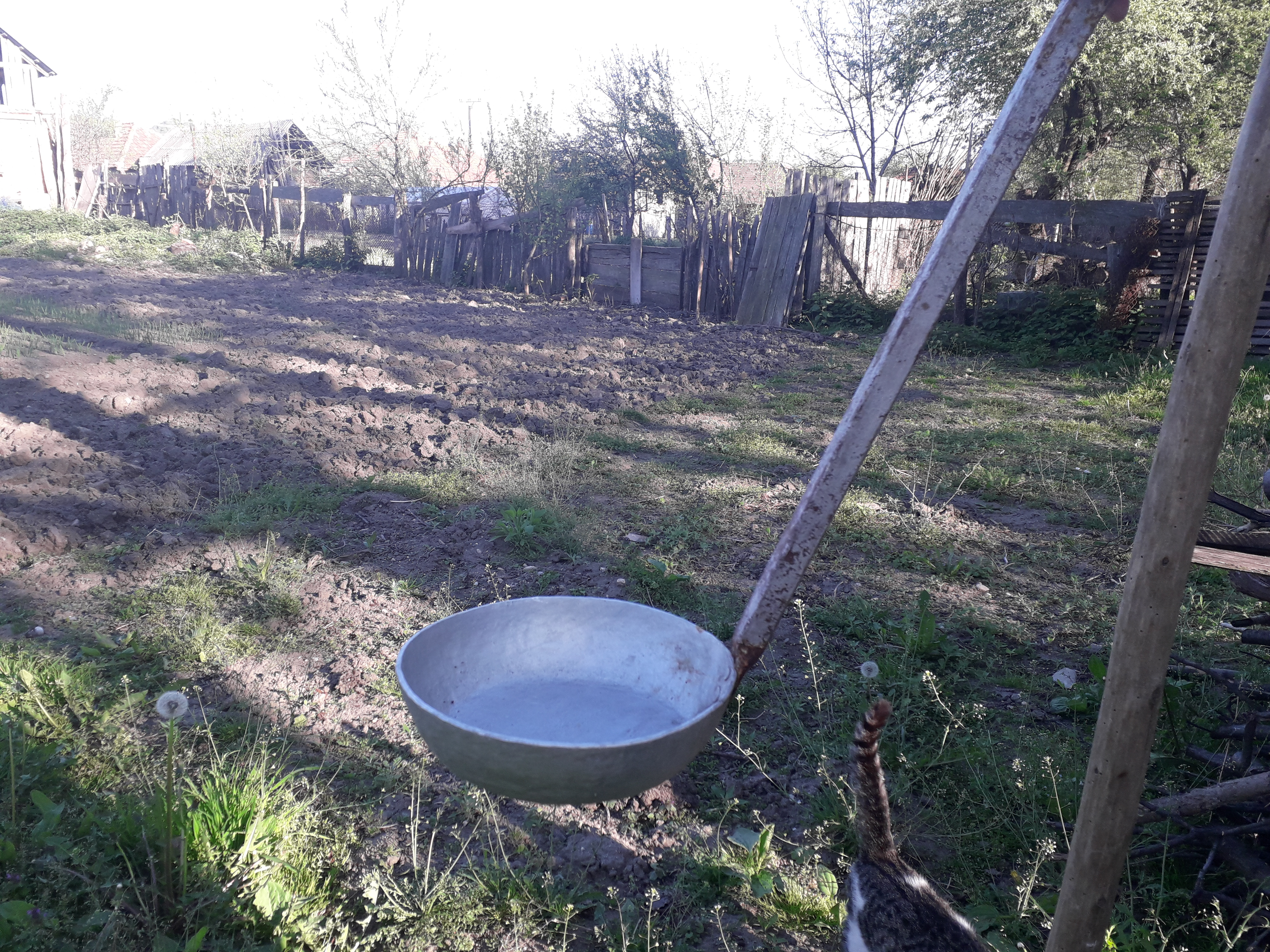 Azi despre ieri – 27 iunie 2019