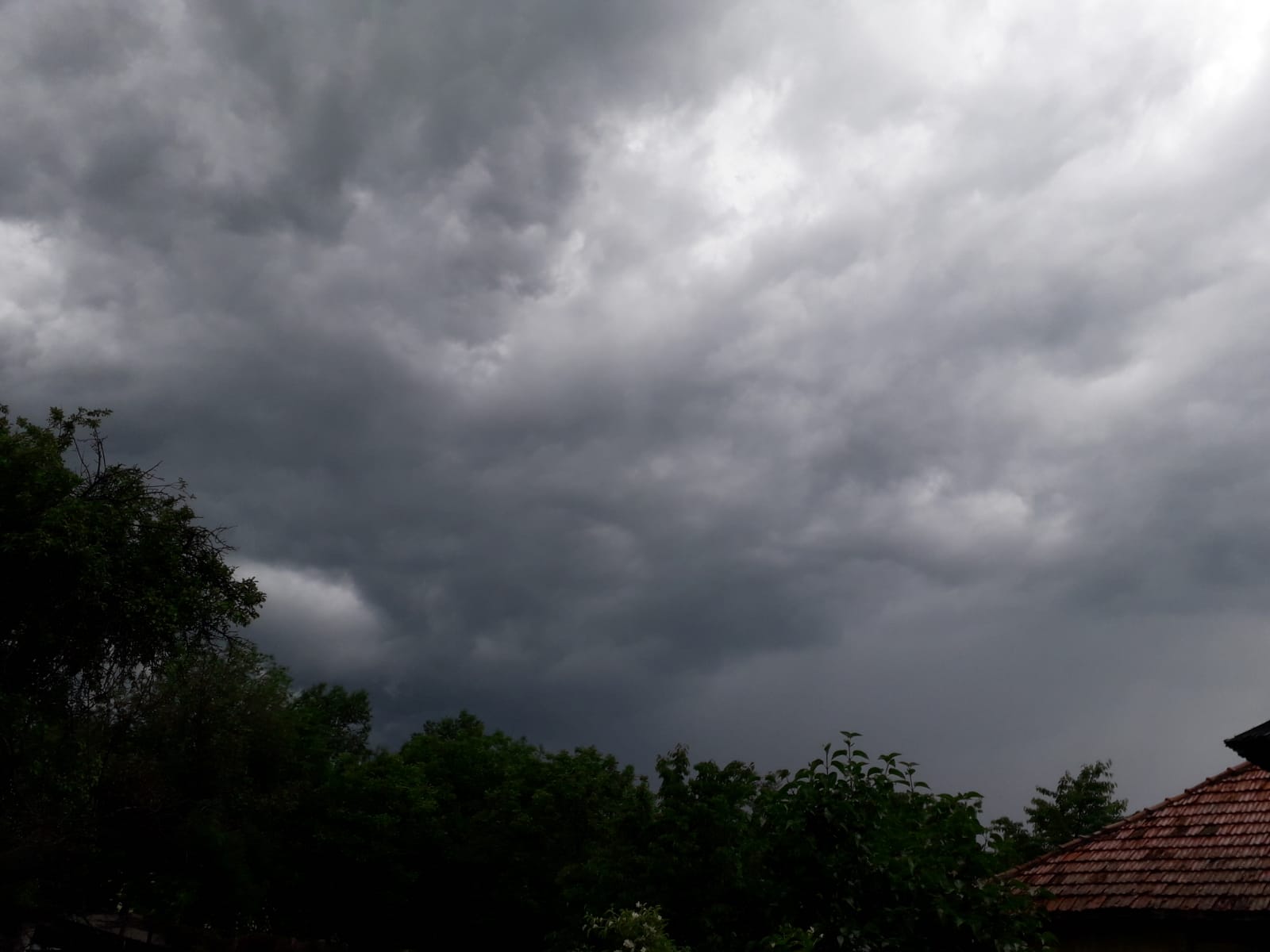 Pagube produse de furtuni (audio)