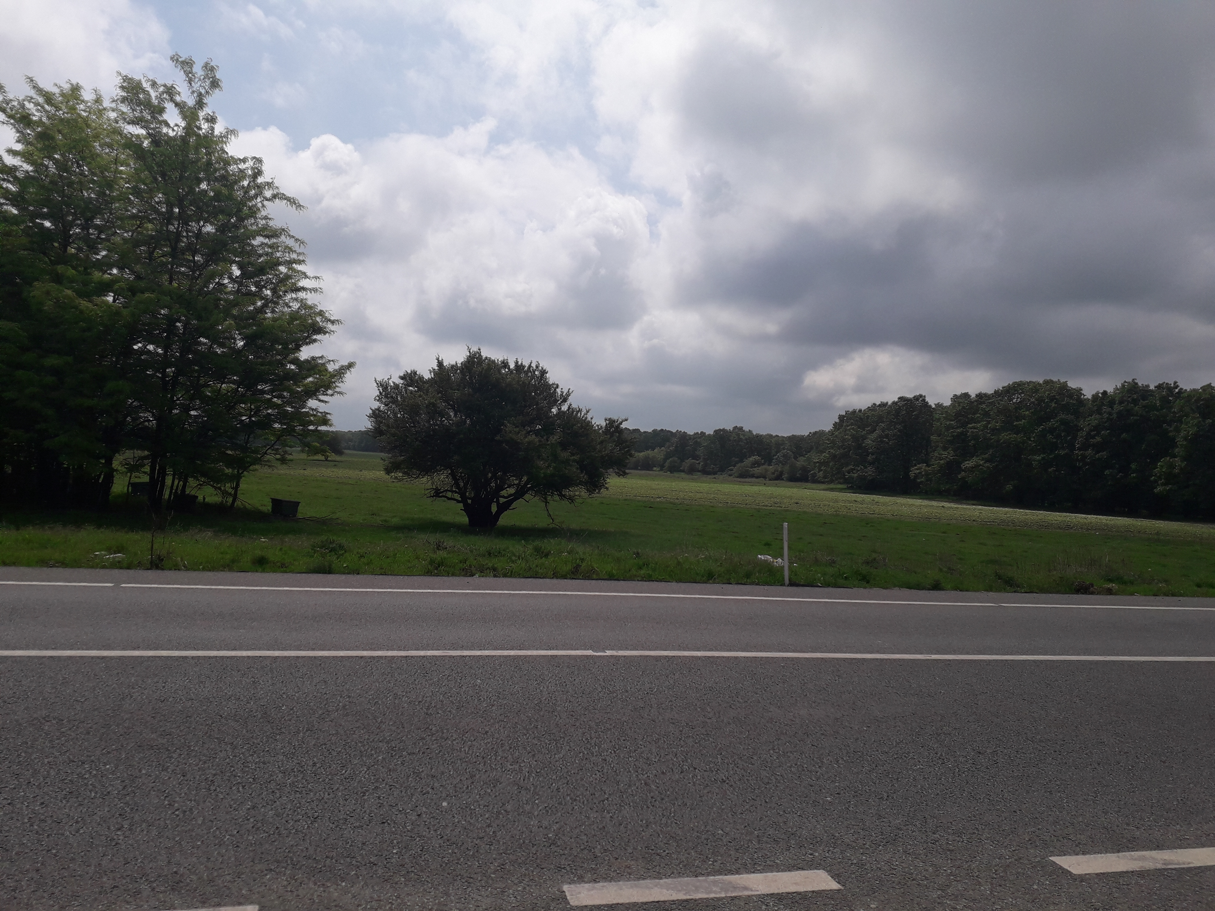 Vremea, astăzi, în Oltenia (audio)