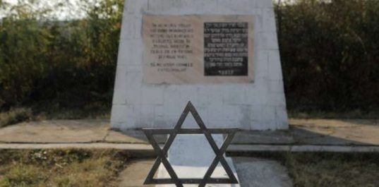 La Iaşi a avut loc astăzi un marş al vieţii