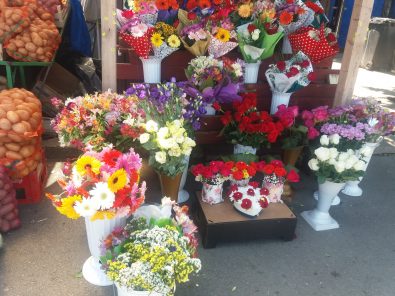 Mercurial – „La Ciupercă”