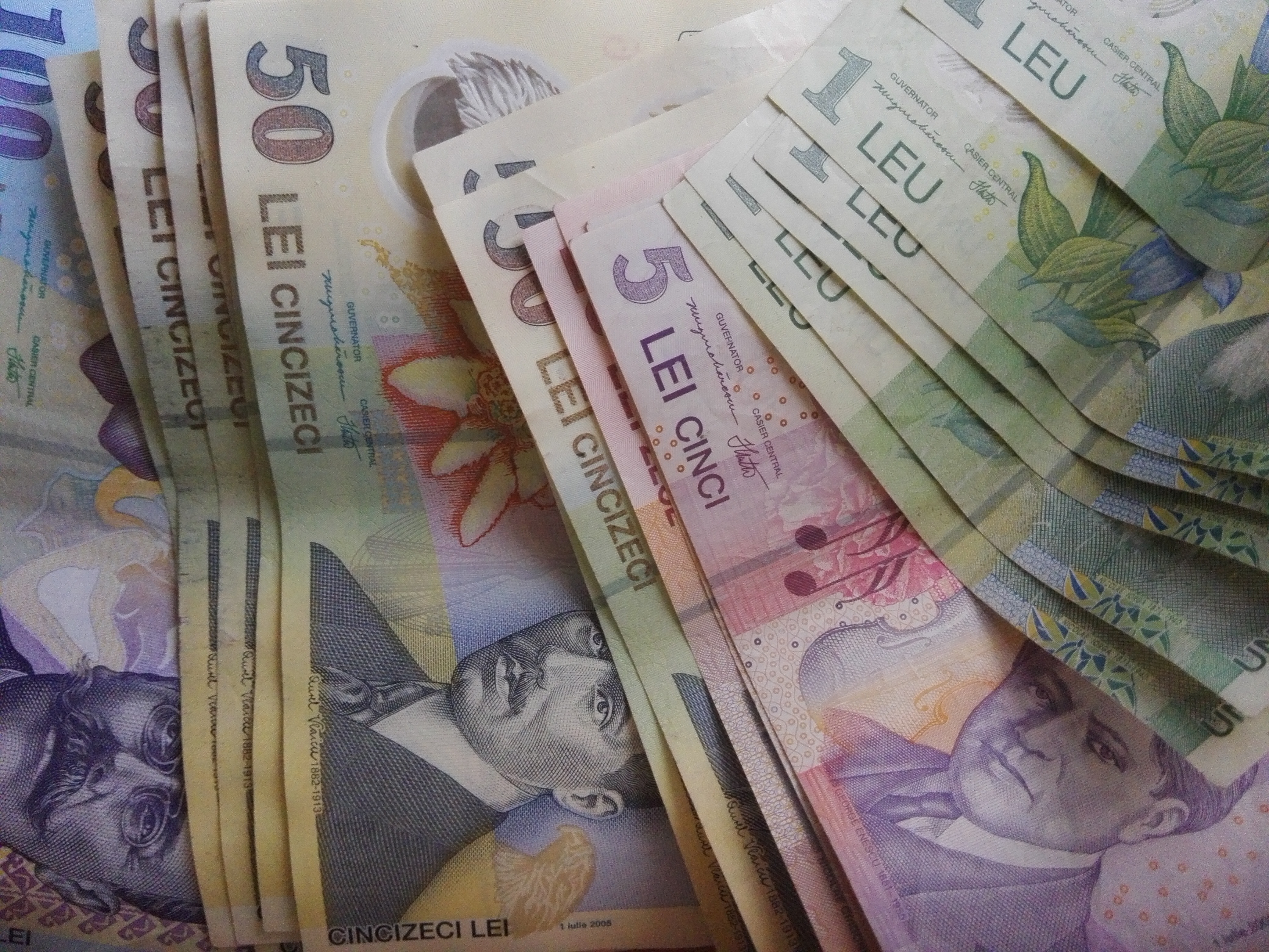 Executivul ar putea aproba rectificarea bugetară