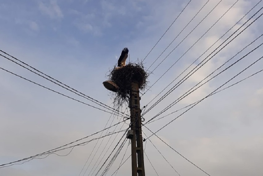 Poluare la cote alarmante (audio)