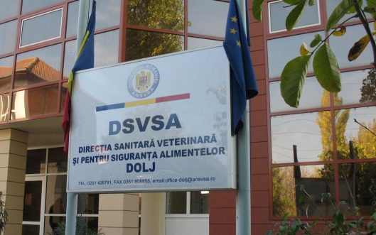 Trei focare de pestă porcină africană în Dolj (audio)