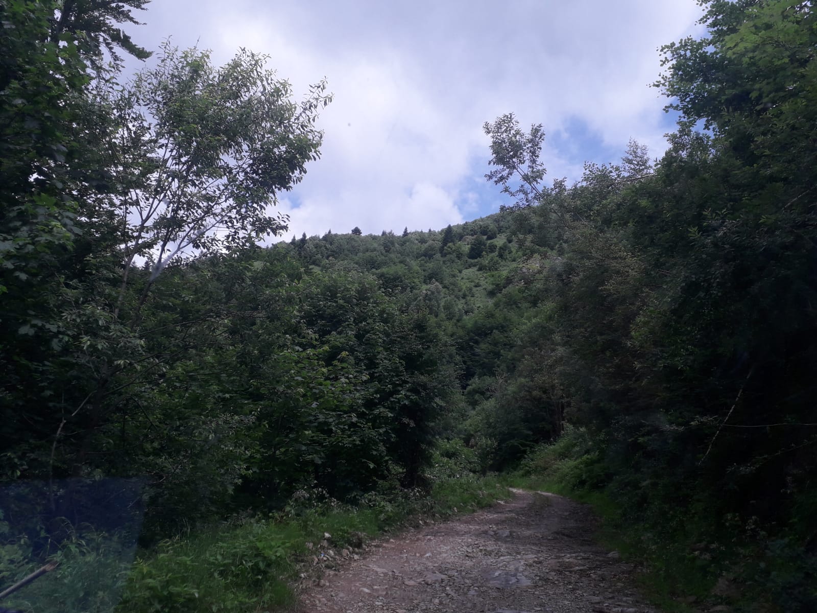 Autostrada Comarnic-Brașov, integral cu fonduri guvernamentale (audio)