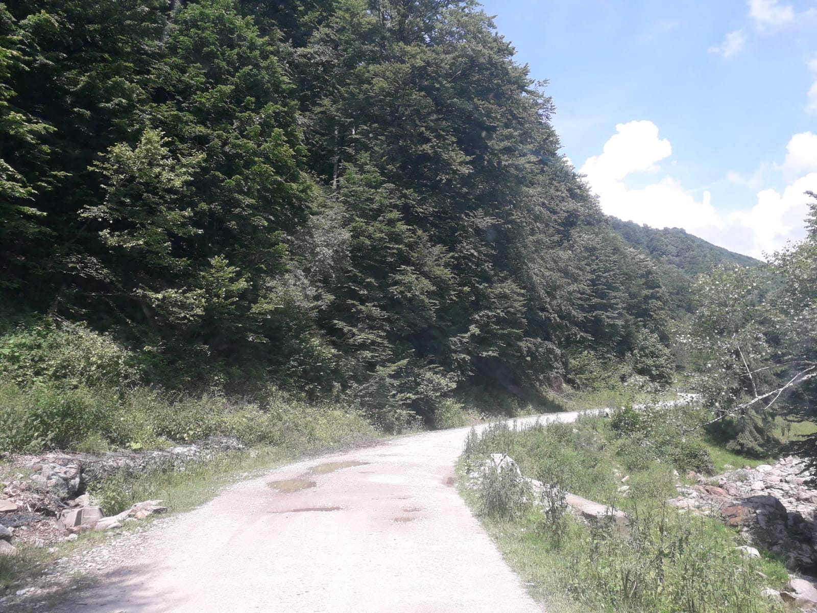 Gorj. Campanie de vaccinare antirabică a vulpilor