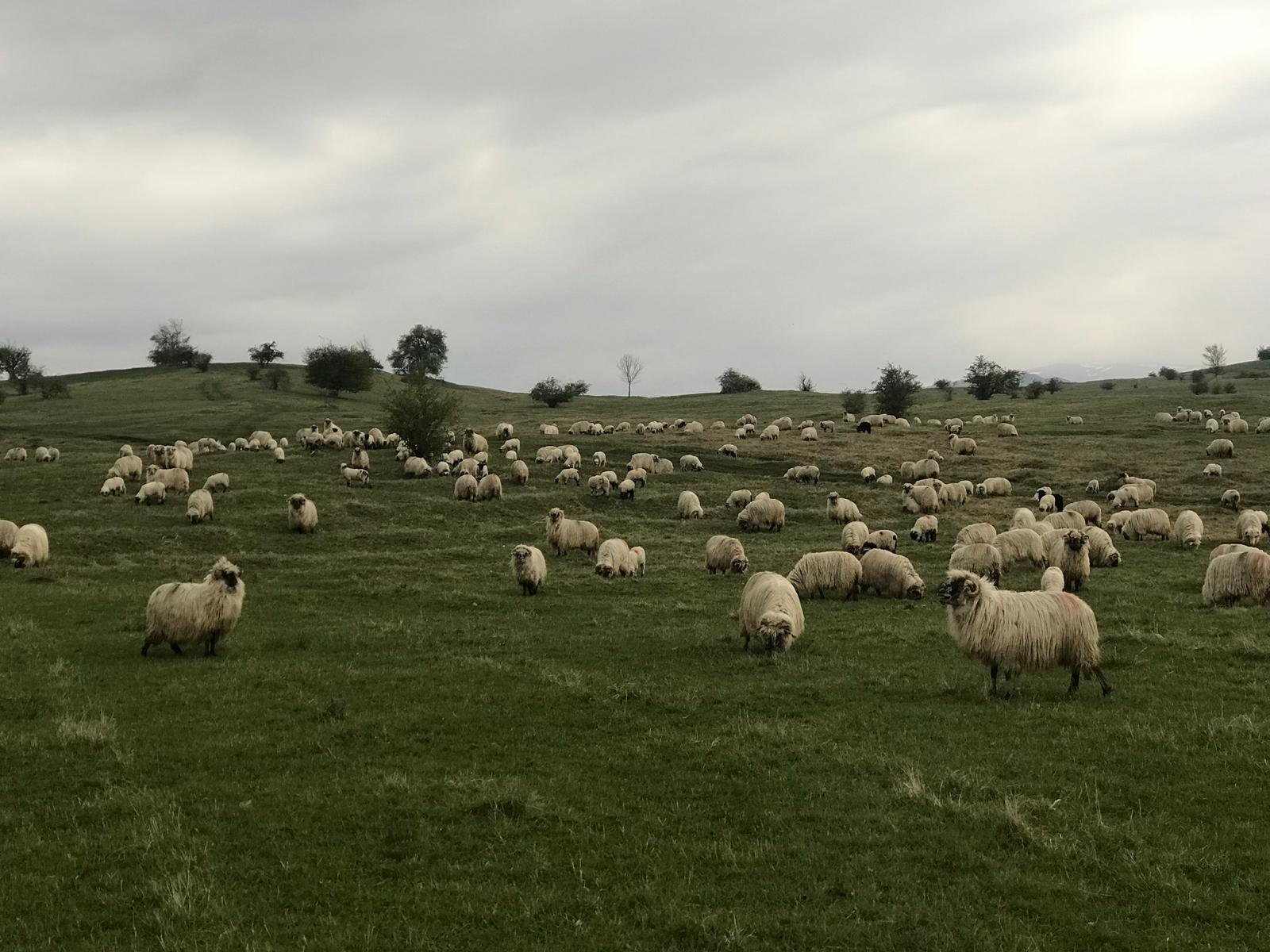 Azi despre ieri – 27 iulie 2019