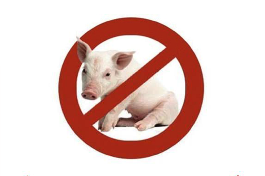 Olt. Au fost confirmate noi focare de pestă porcină africană