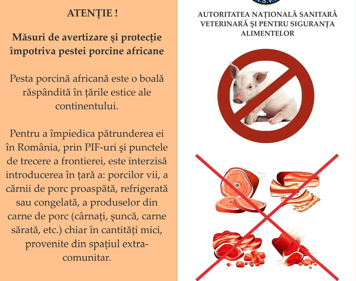 Pesta porcină africană, în 77 de localităţi din 18 judeţe (audio)
