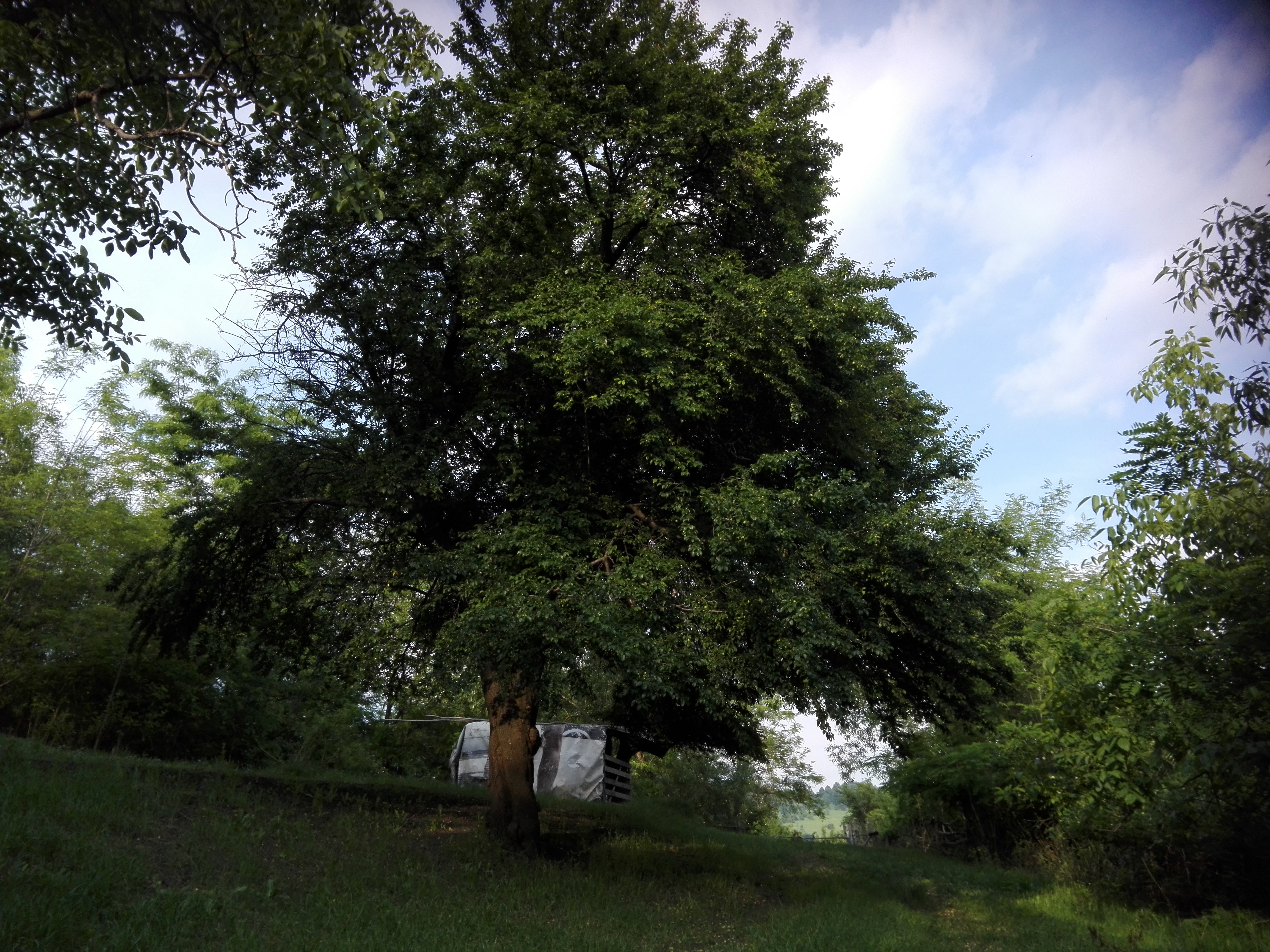 Vremea, astăzi, în Oltenia (audio)