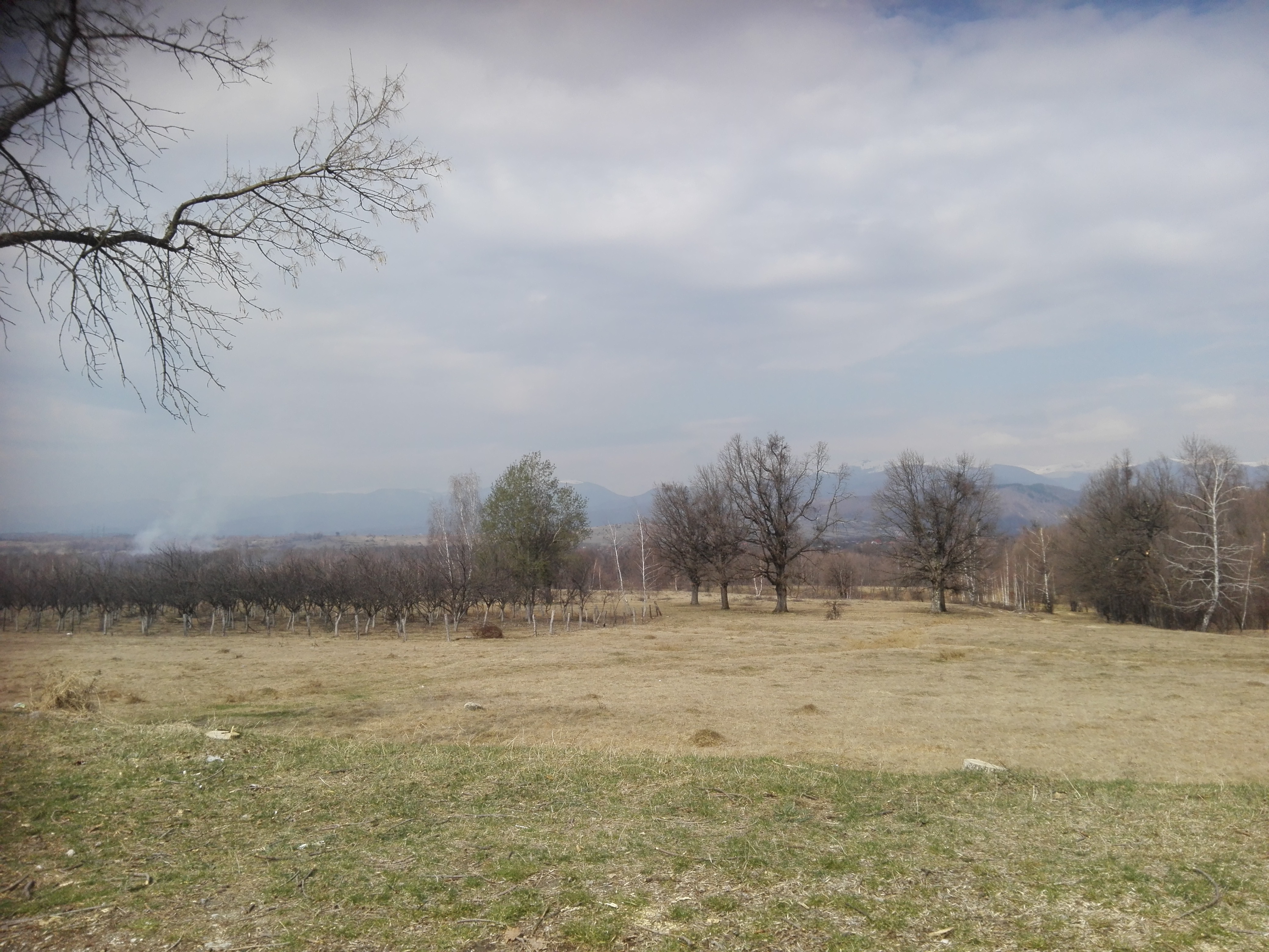 Al doilea val de caniculă (audio)