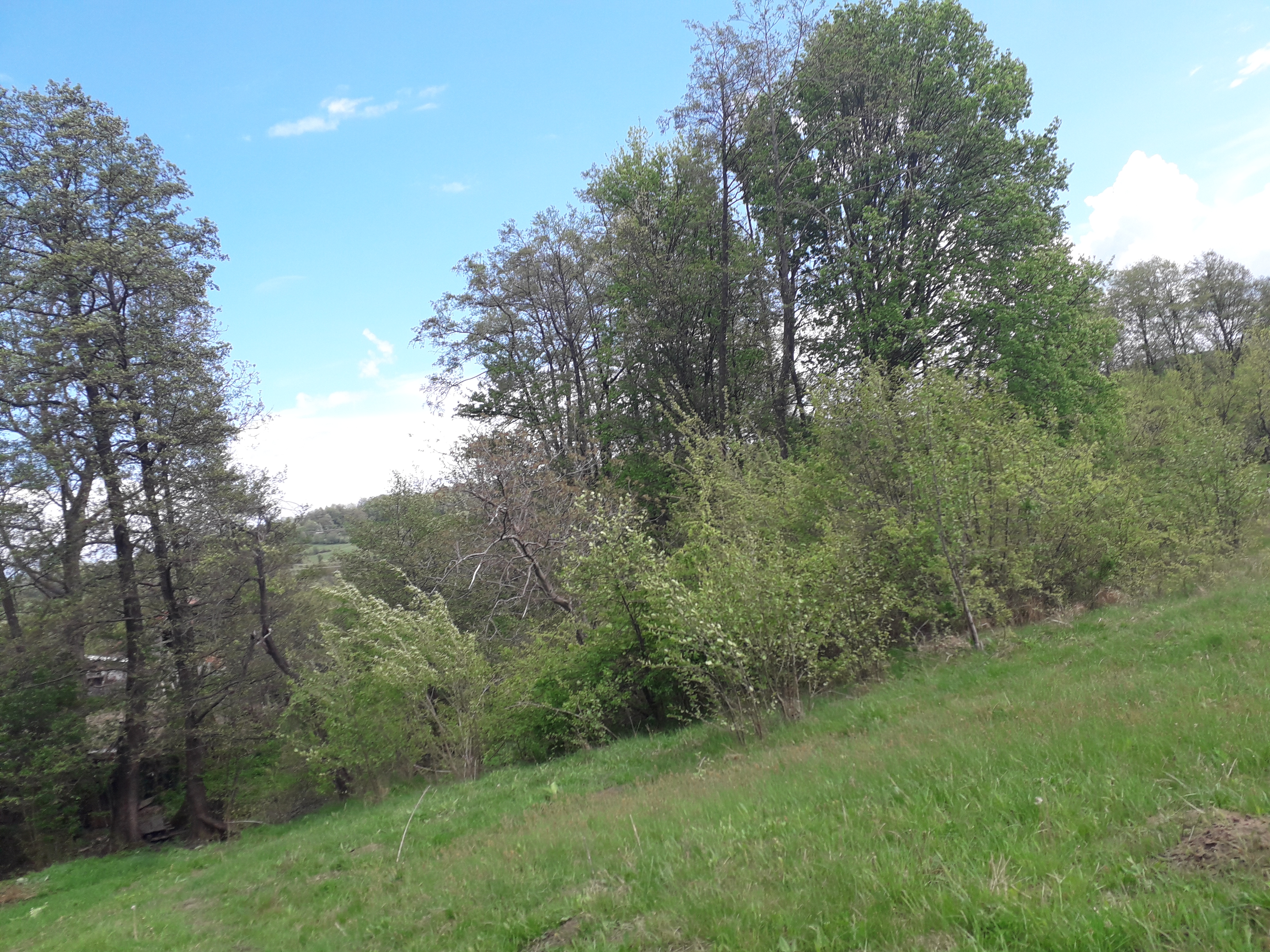 Vremea, 19/20 iulie, în Oltenia