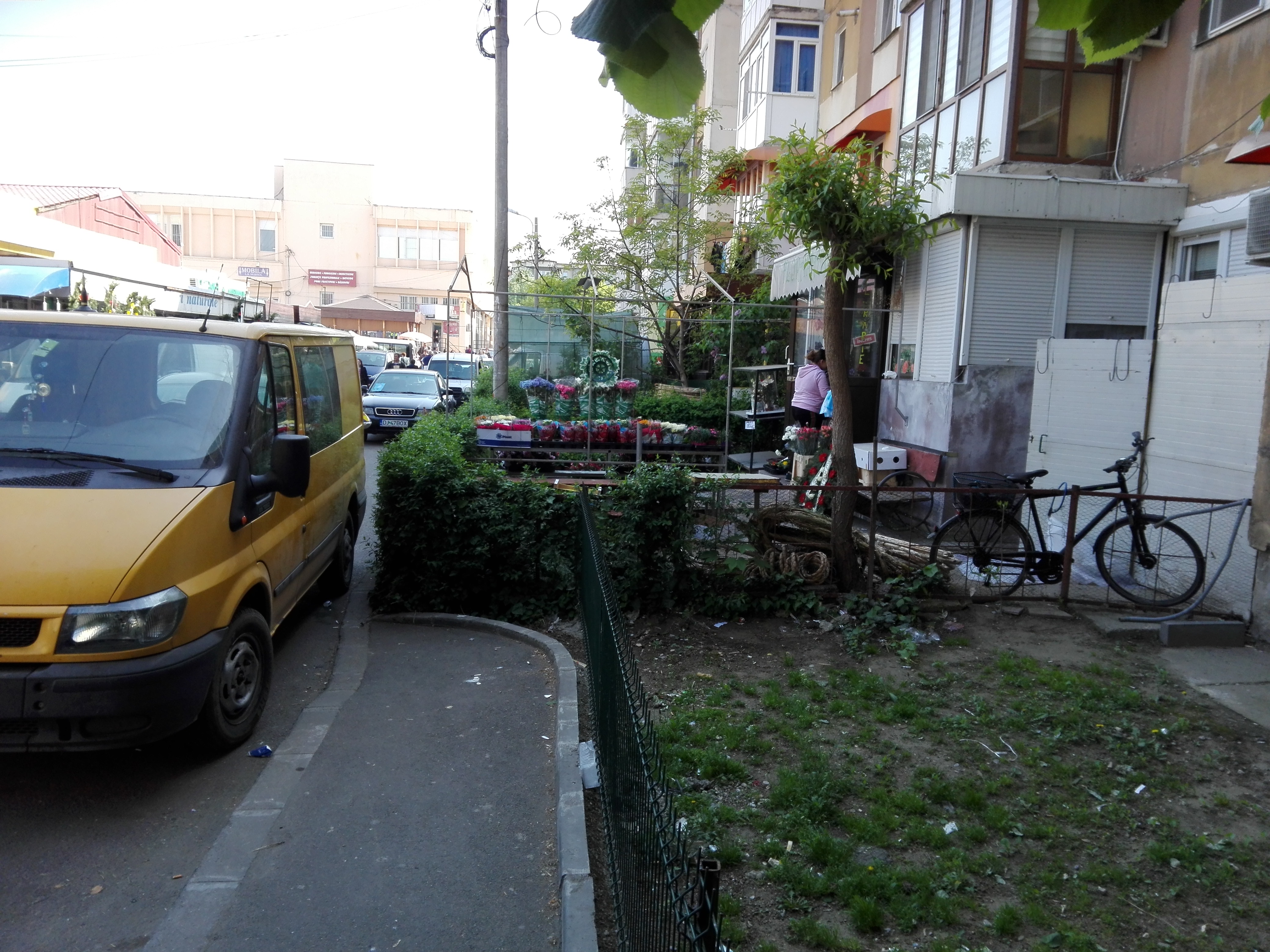 Simplificarea procedurilor pentru accesarea ajutoarelor de stat (audio)