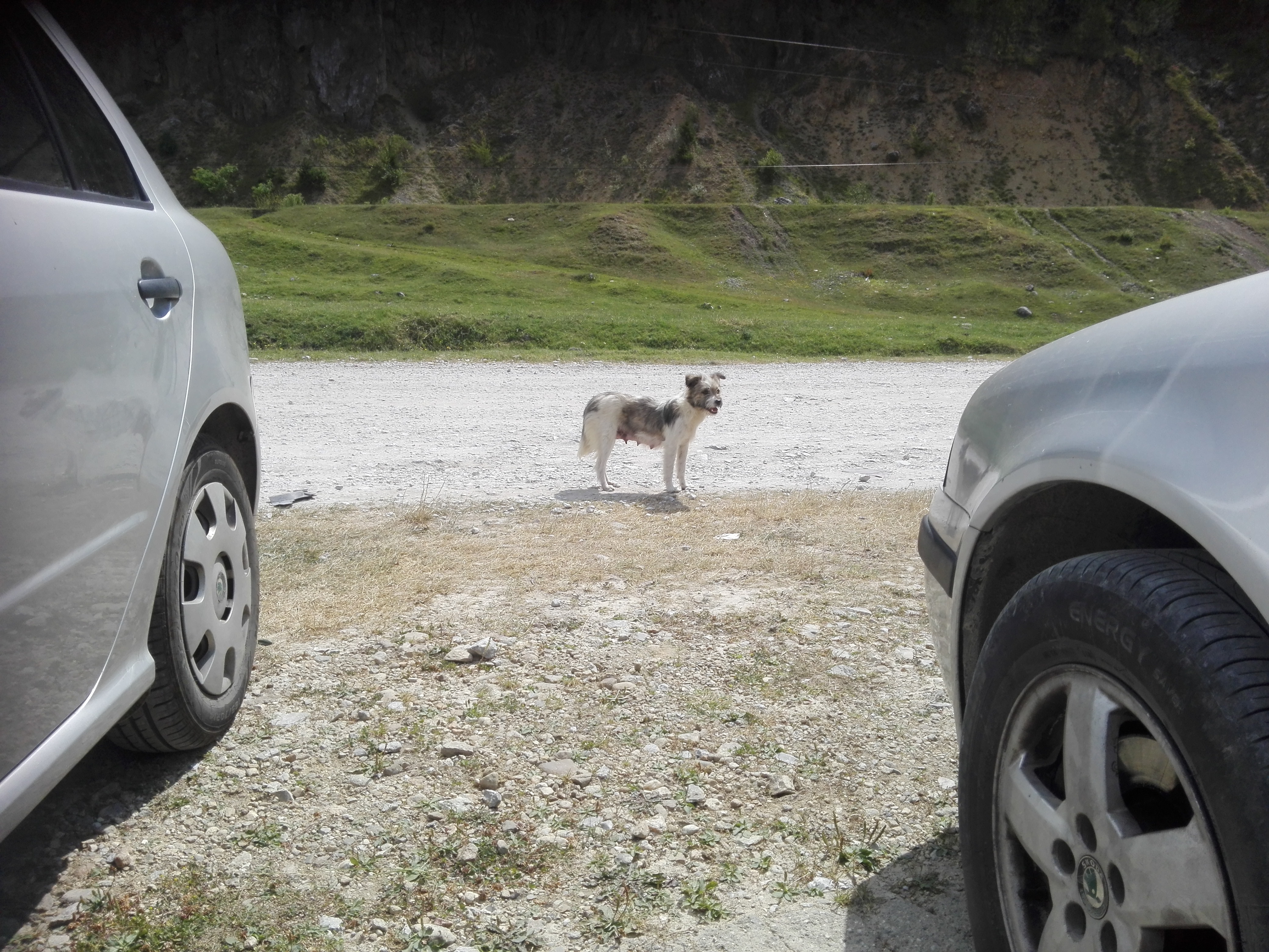 Vremea, astăzi, în Oltenia (audio)