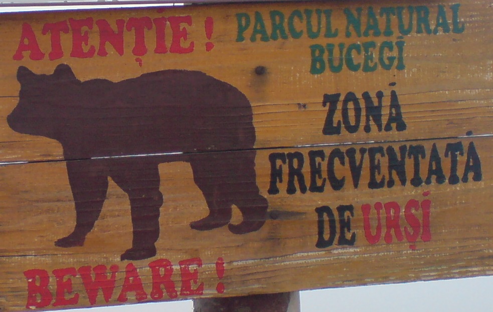 Avertizare prin RO-ALERT