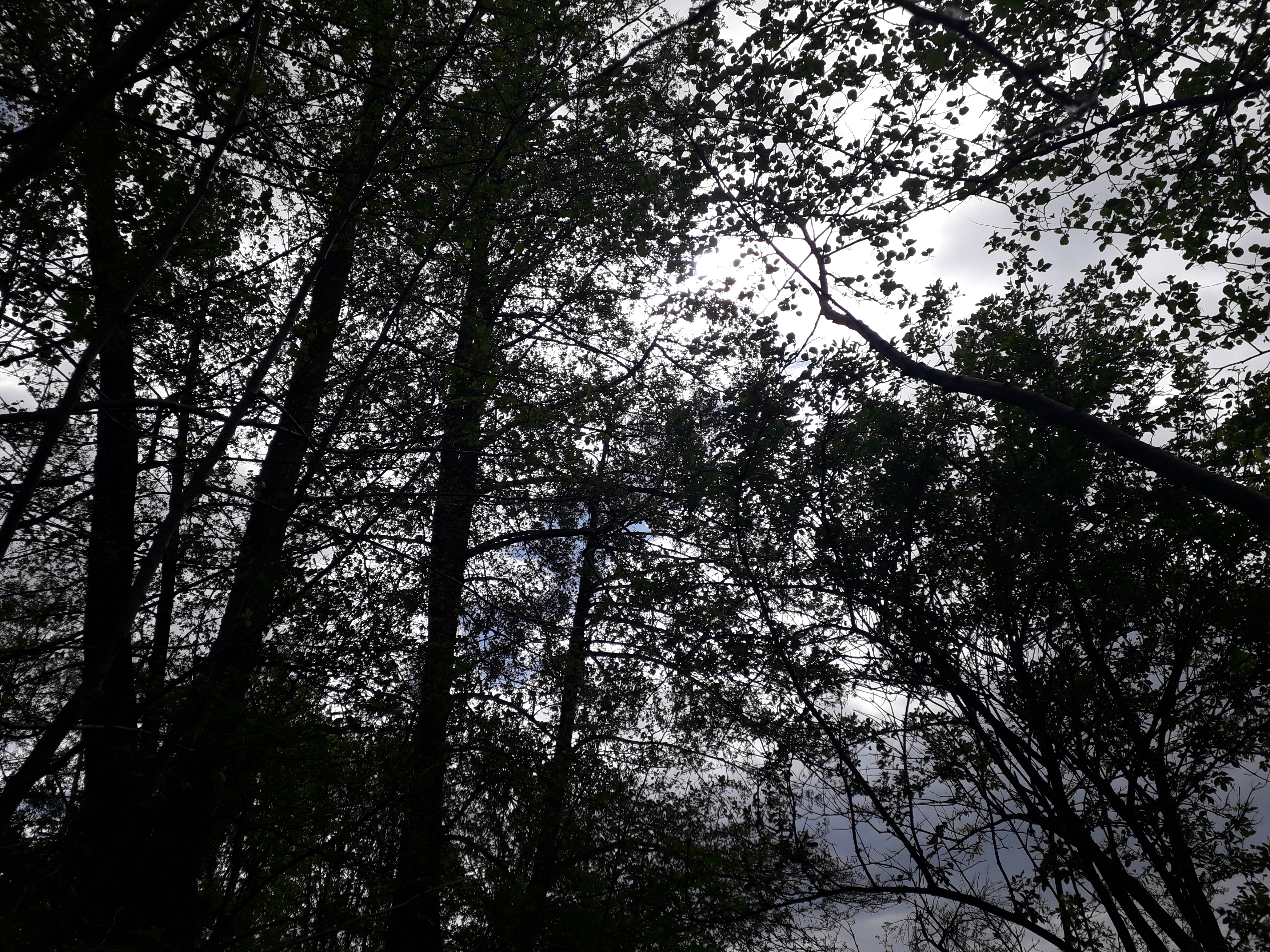 Vremea, 28/29 iulie, în Oltenia (audio)