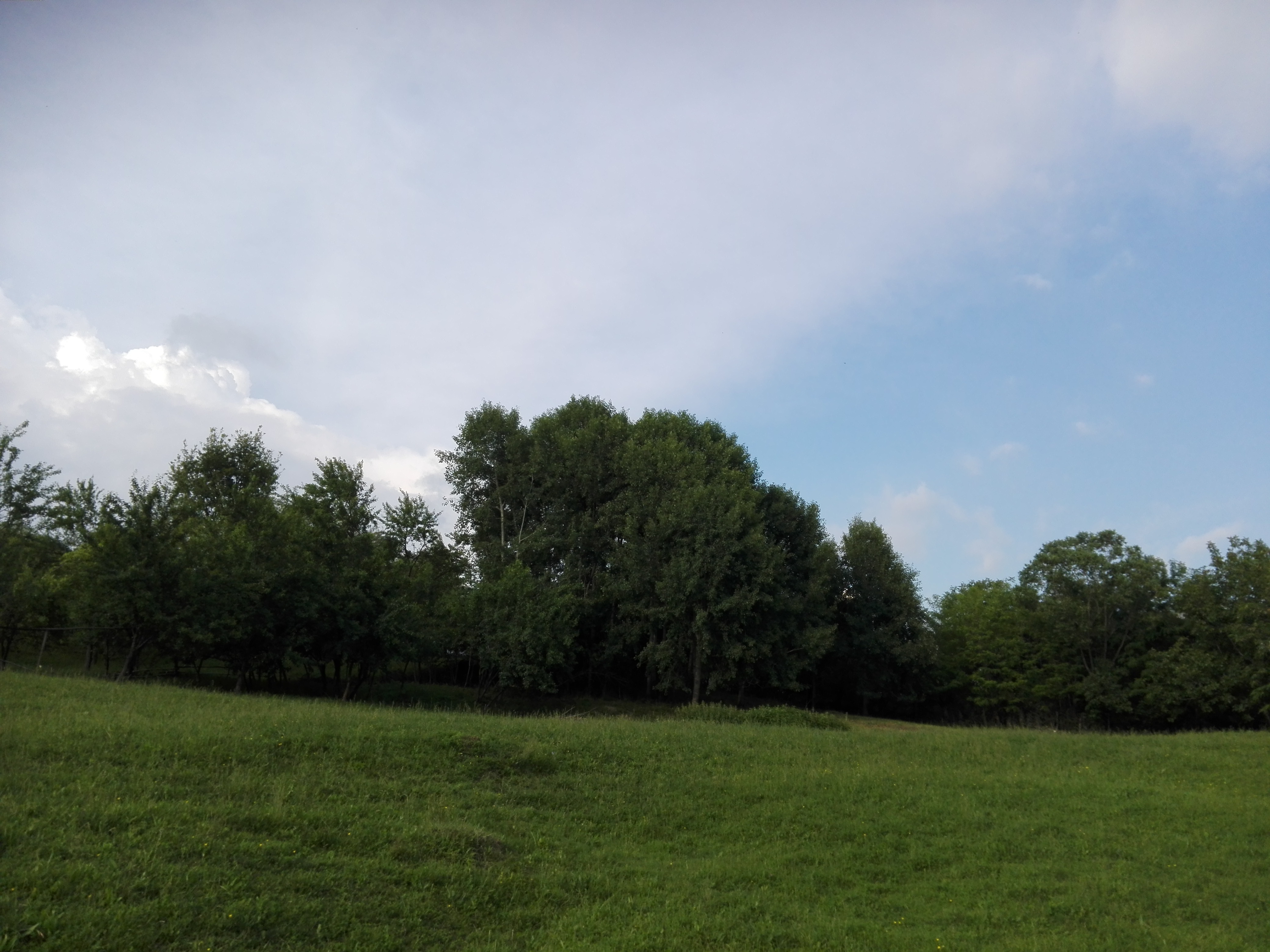 Vremea, astăzi, în Oltenia