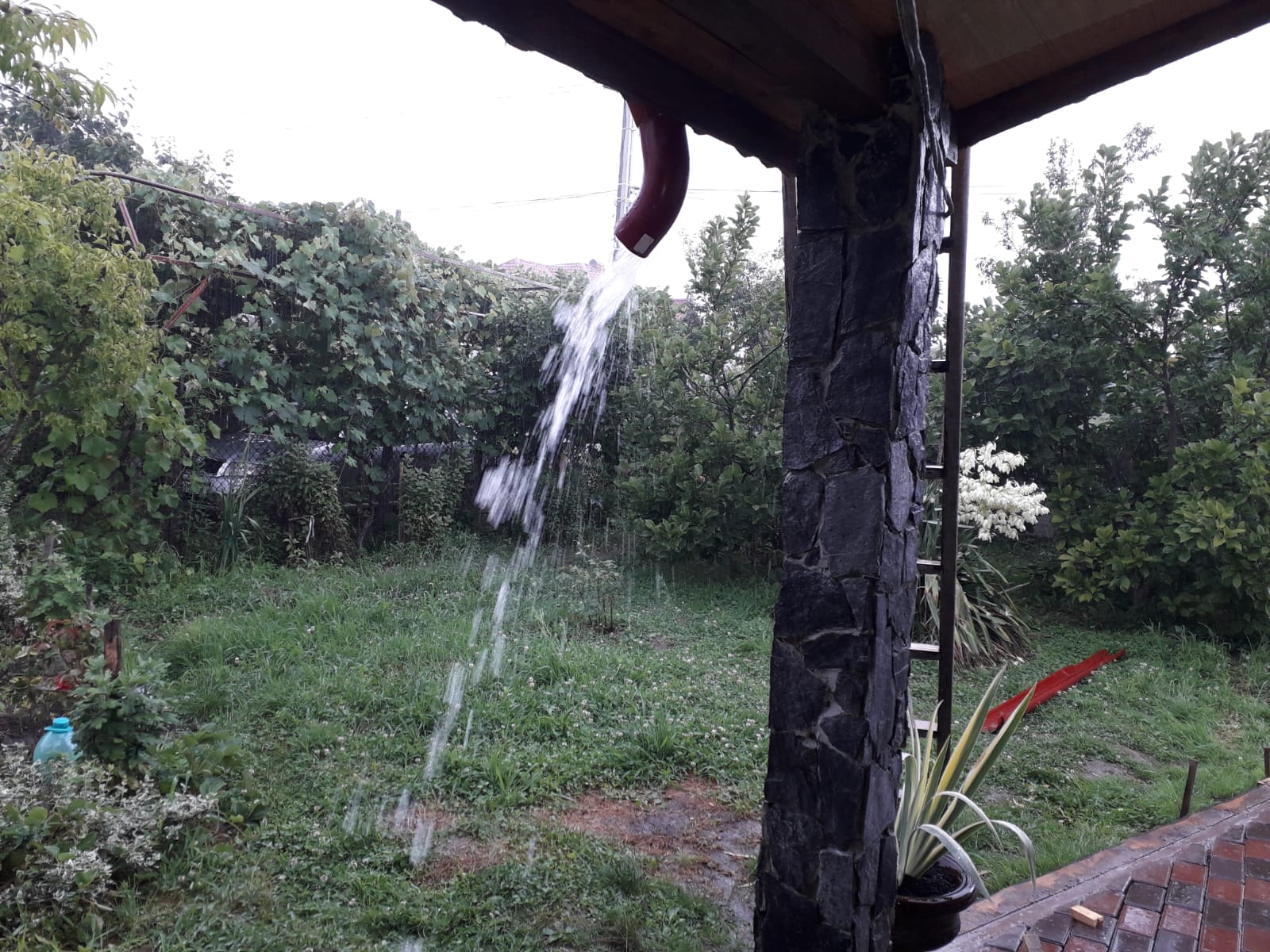 Azi despre ieri – 25 iulie 2019