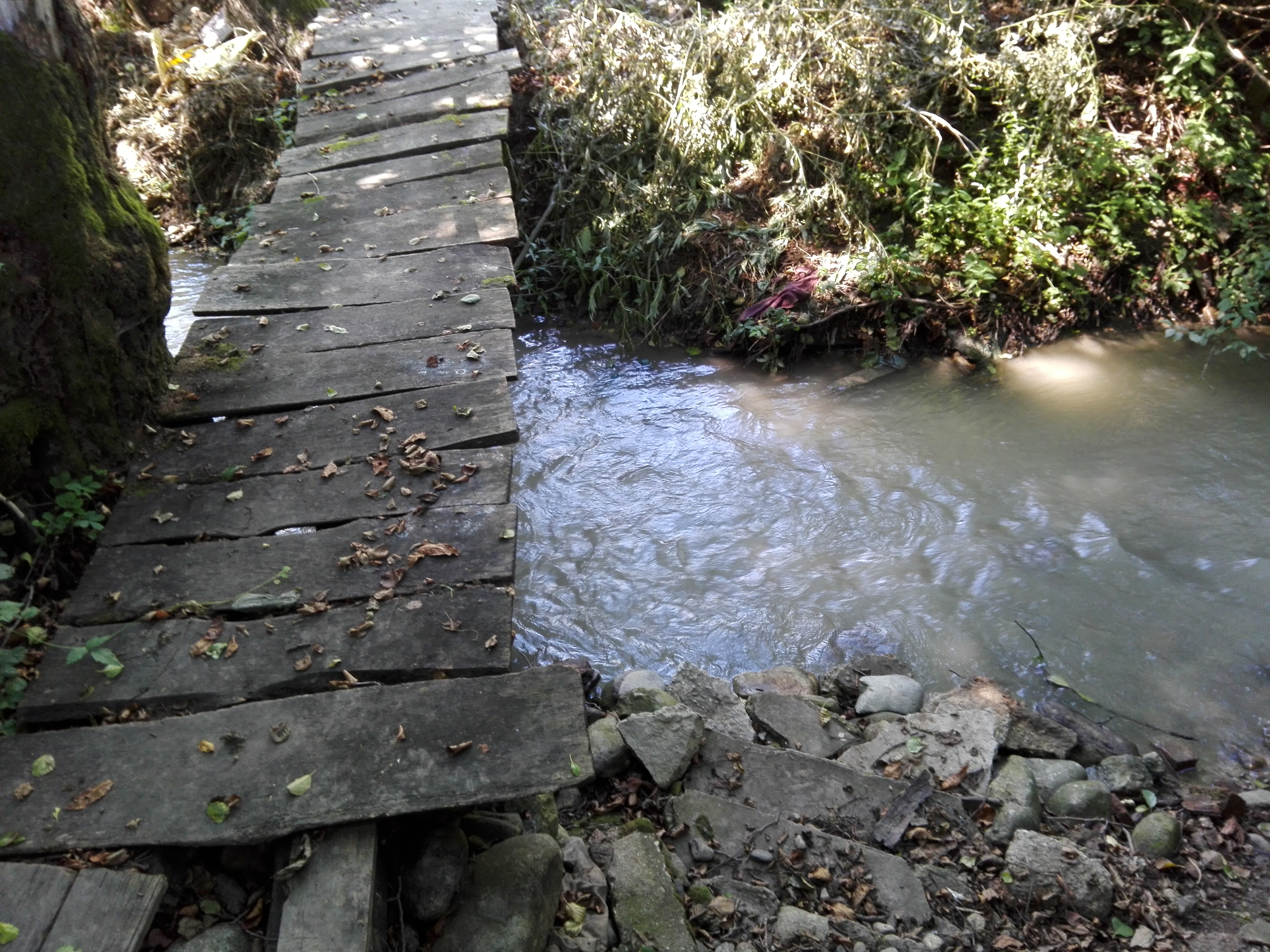 Ziua Mondială a Zonelor Umede