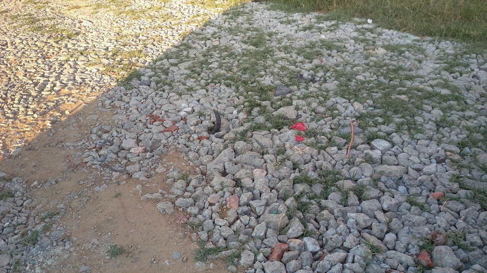 Garda de mediu știe? (fotoreportaj)