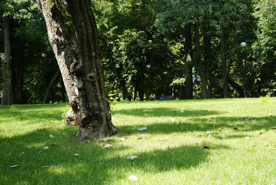 Azi despre ieri – 31 august 2019