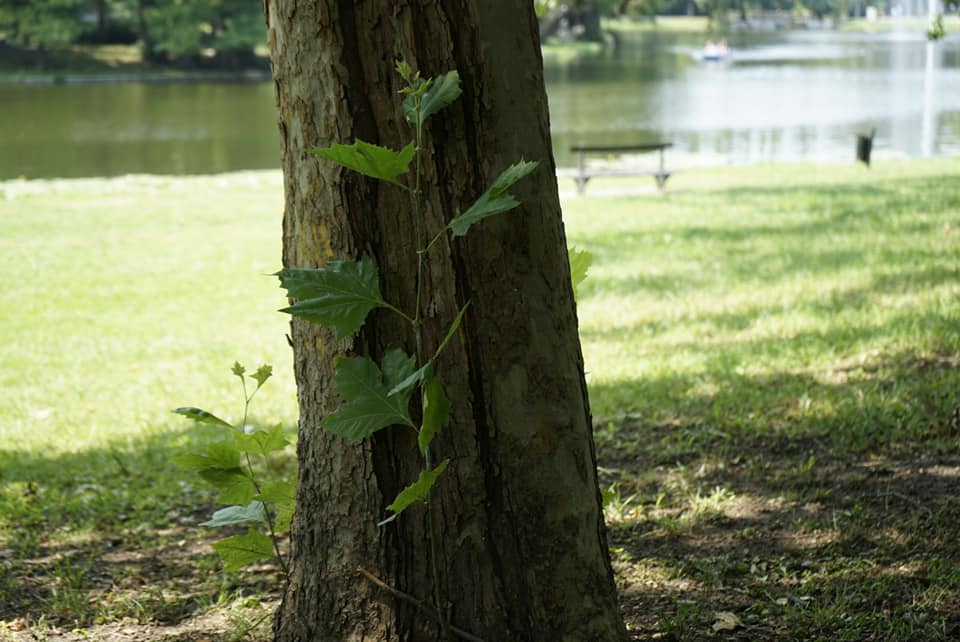 Azi despre ieri – 16 septembrie 2019