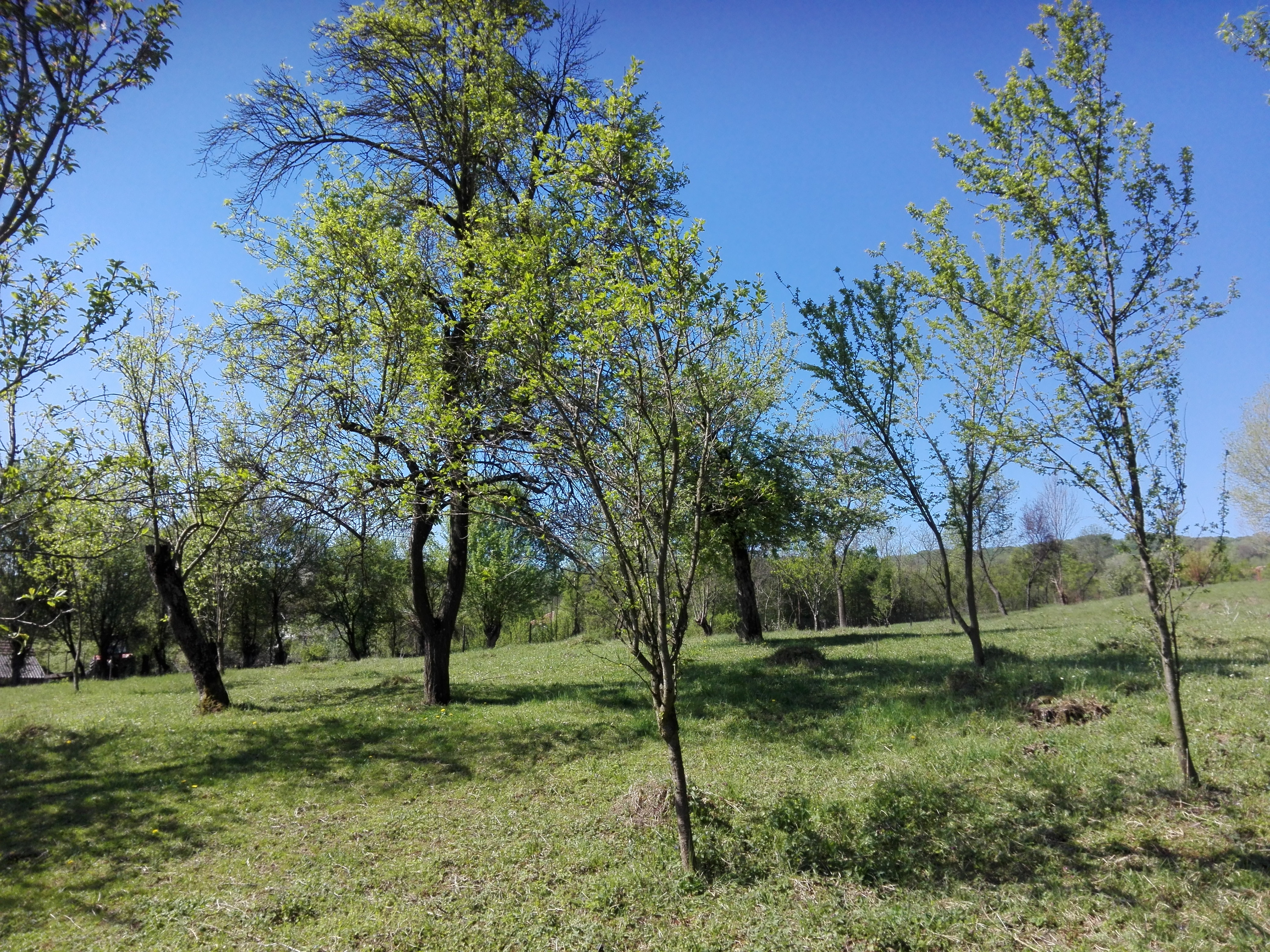 Azi despre ieri – 8 august 2019