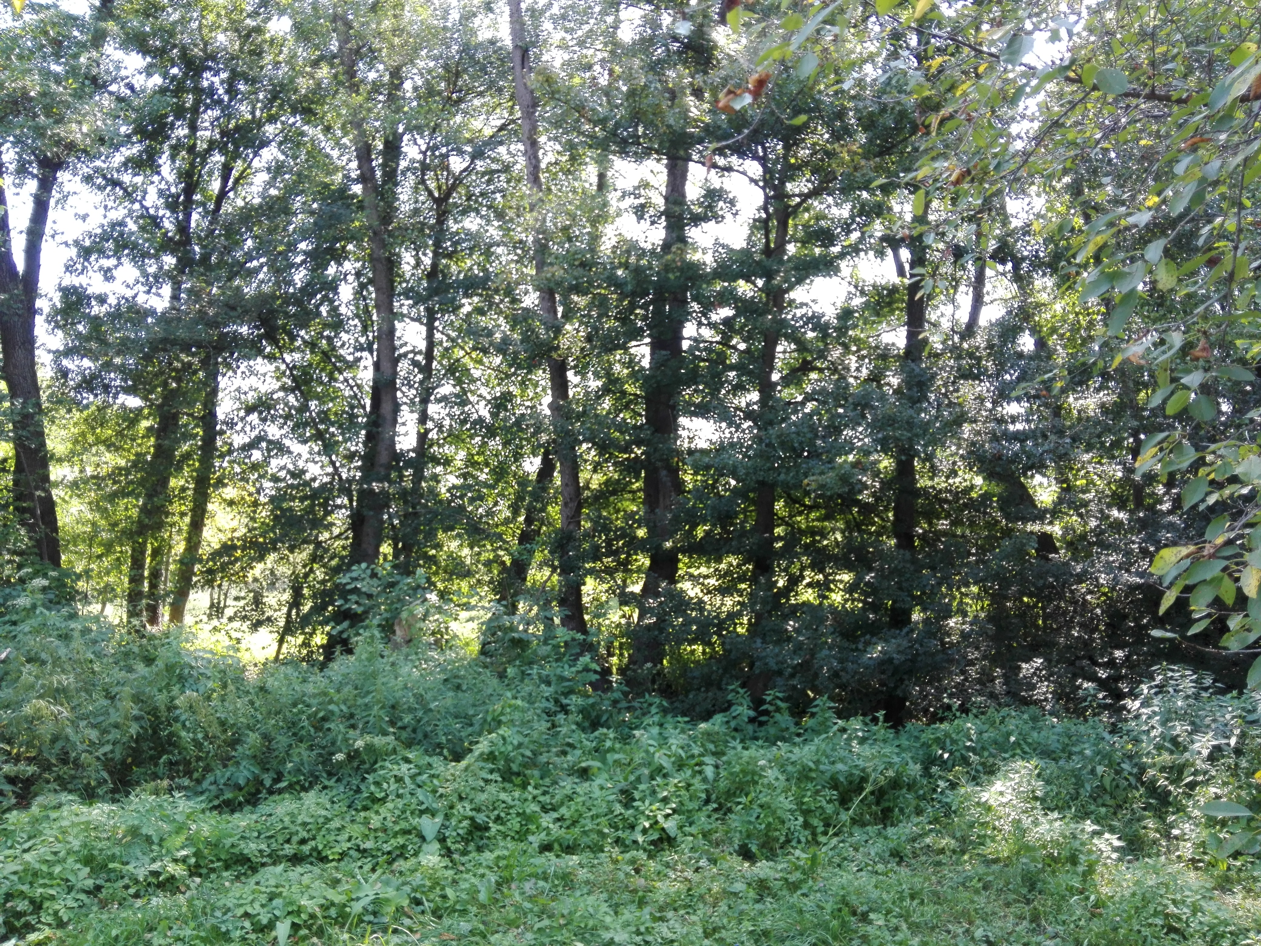 Azi despre ieri – 11 septembrie 2019