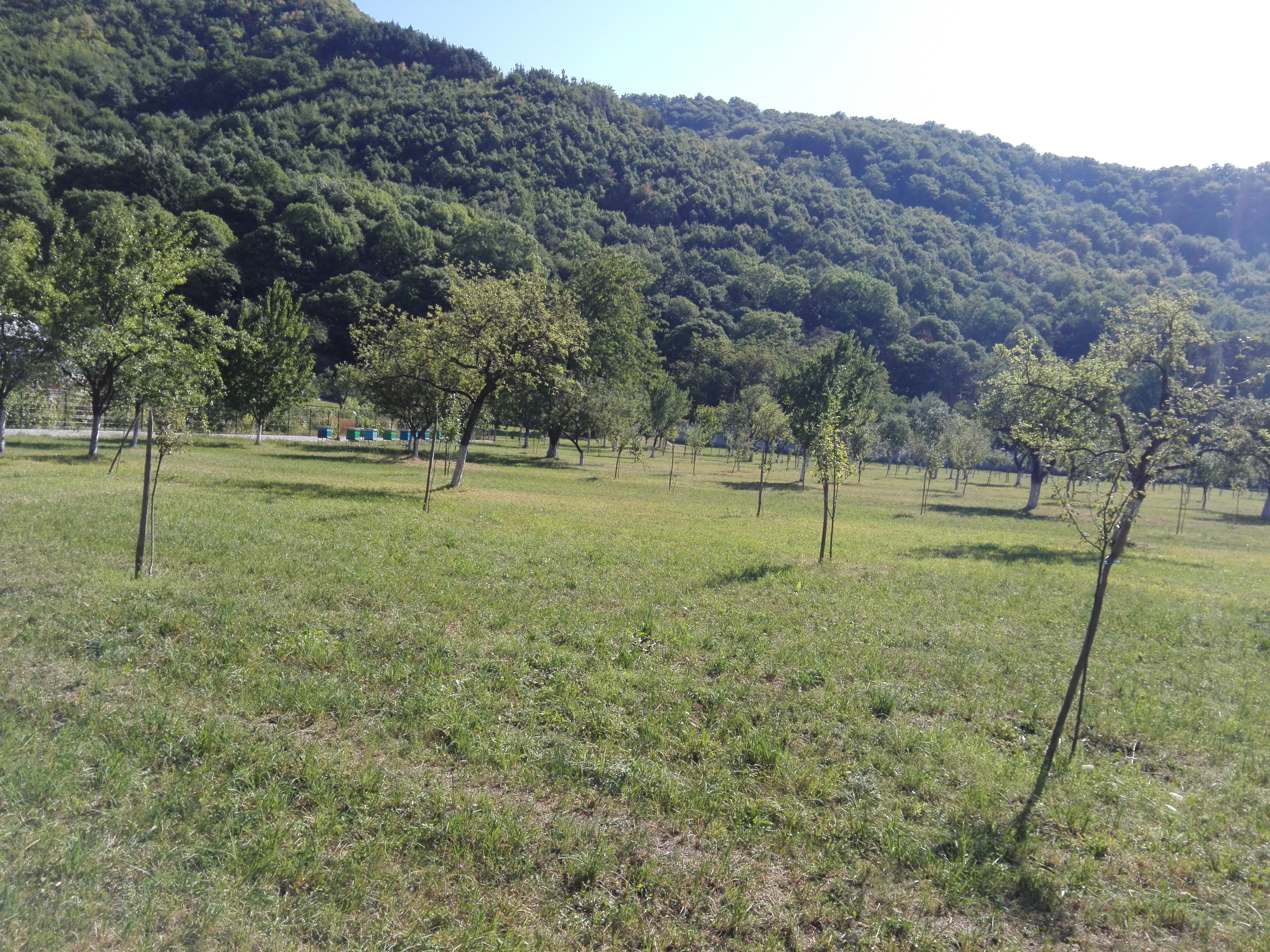 Azi despre ieri – 12 septembrie 2019