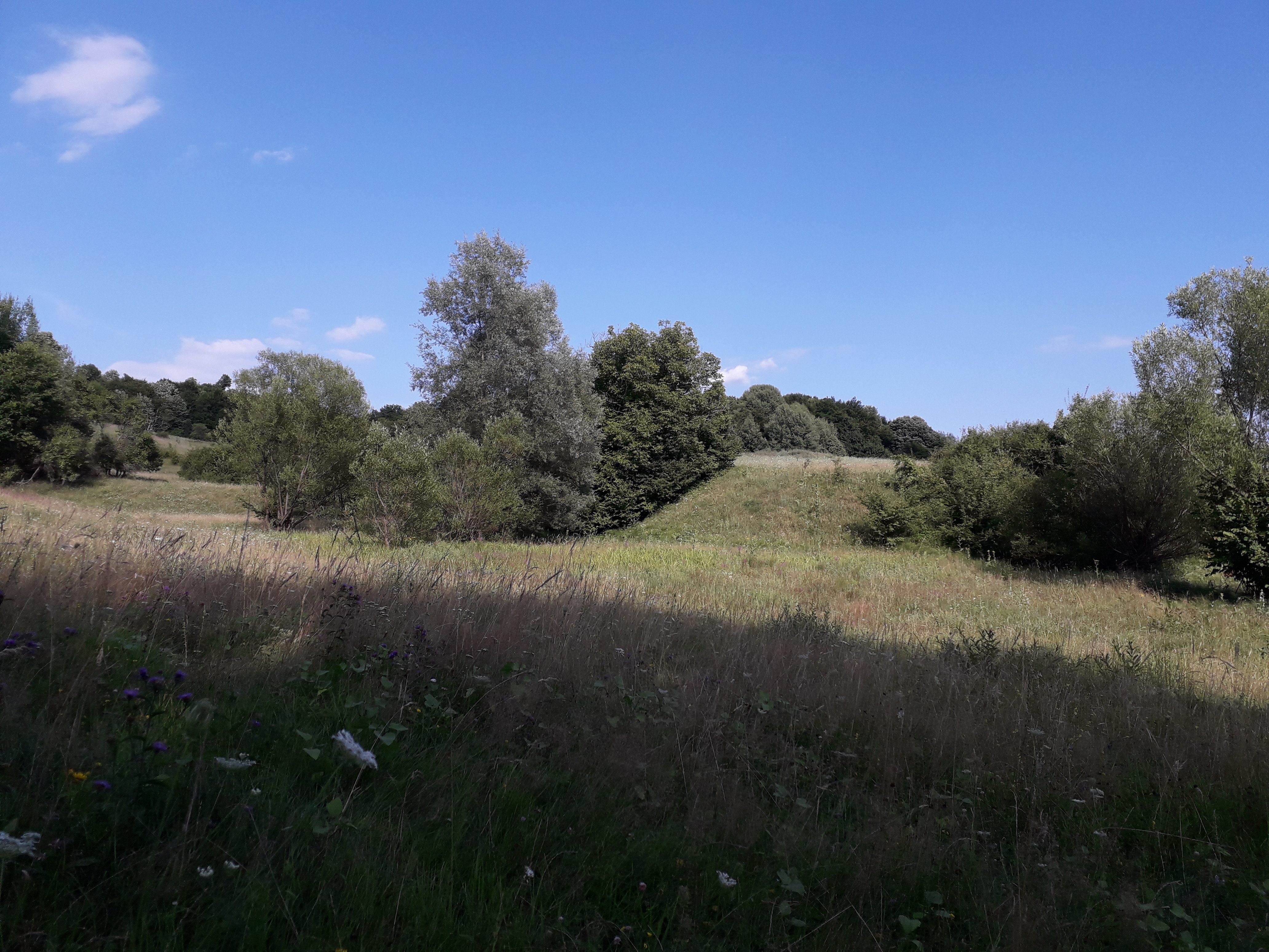 Vremea, 28/29 august, în Oltenia