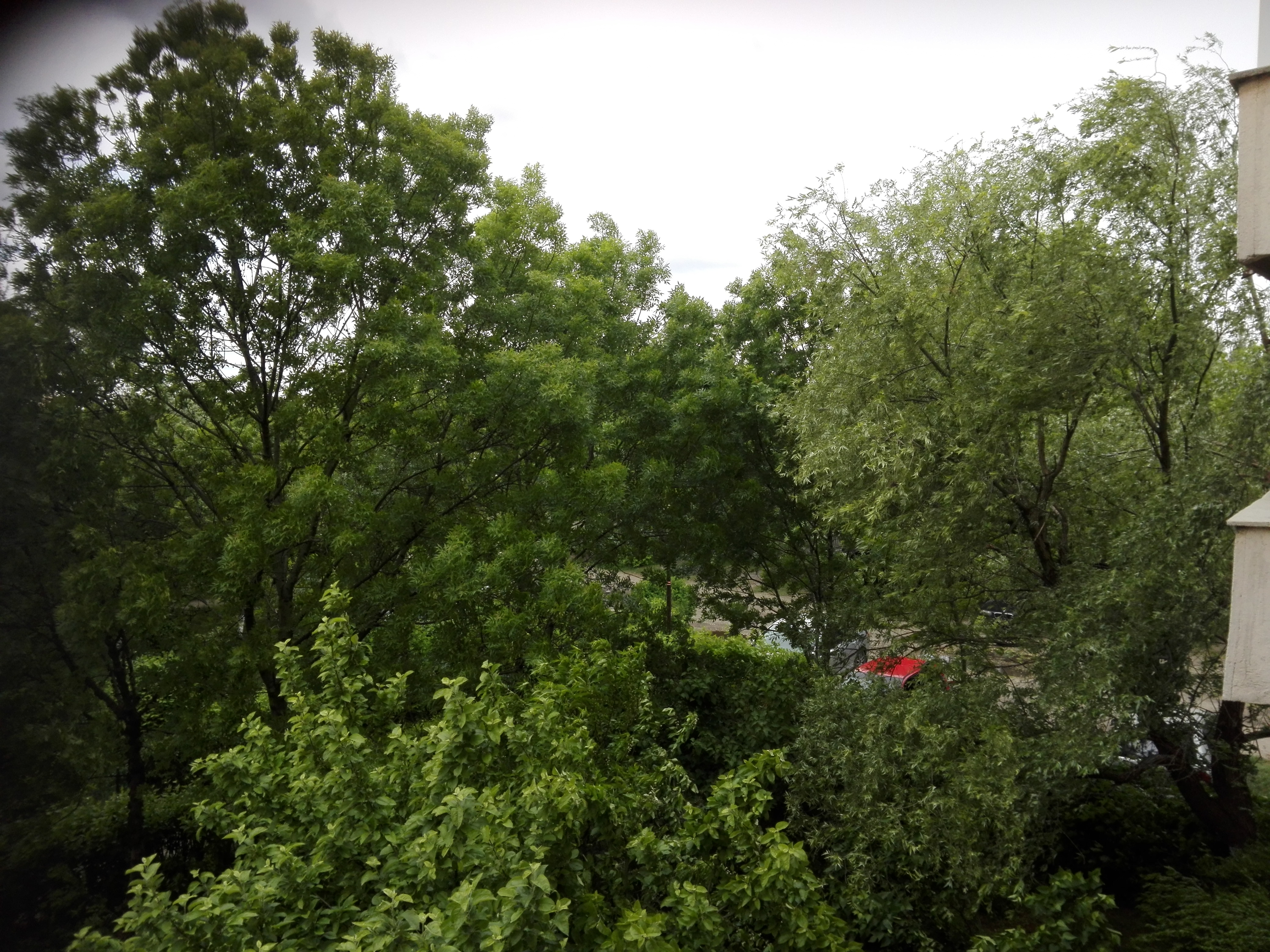 Azi despre ieri – 19 august 2019