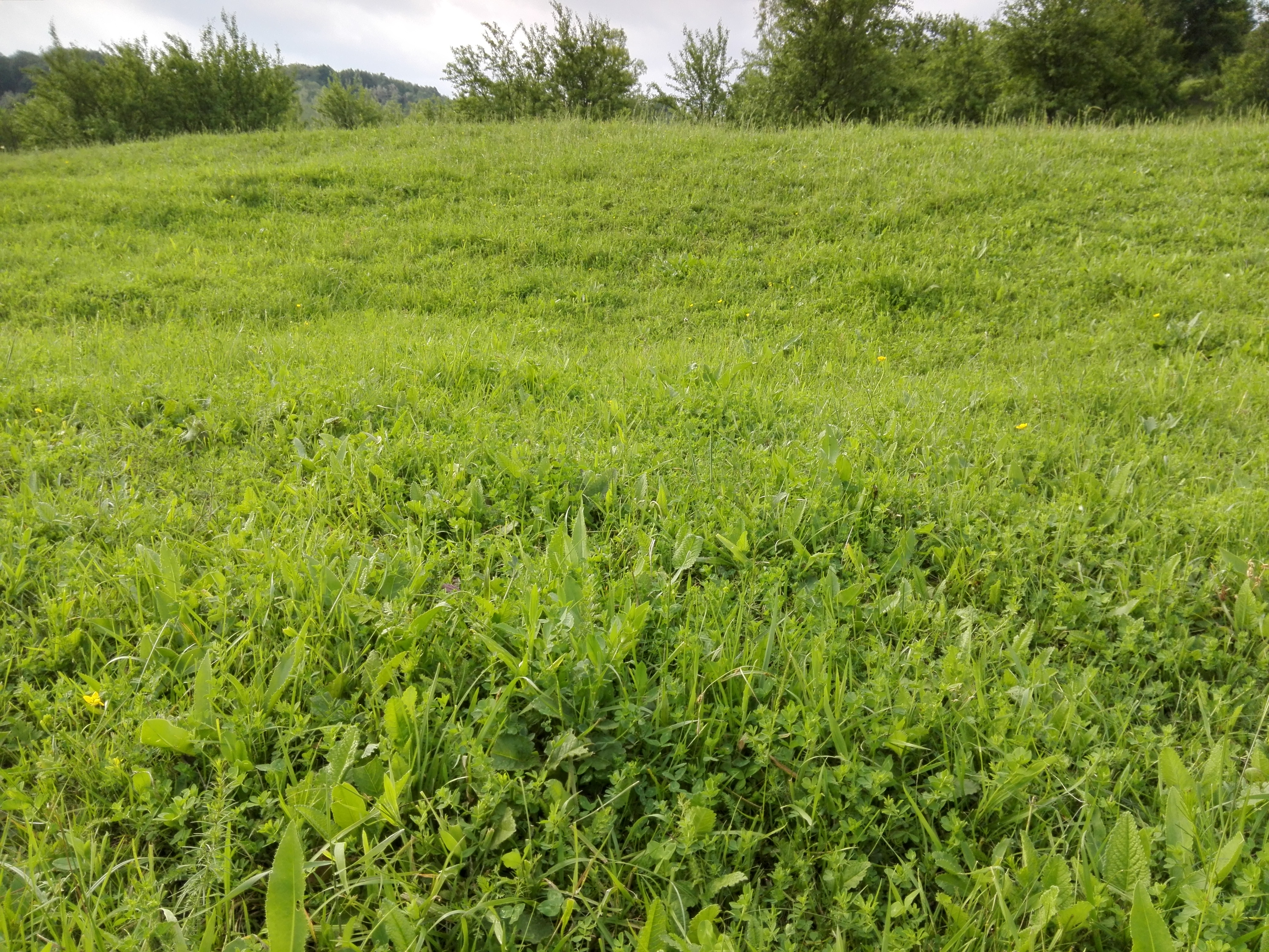 Azi despre ieri – 26 august 2019