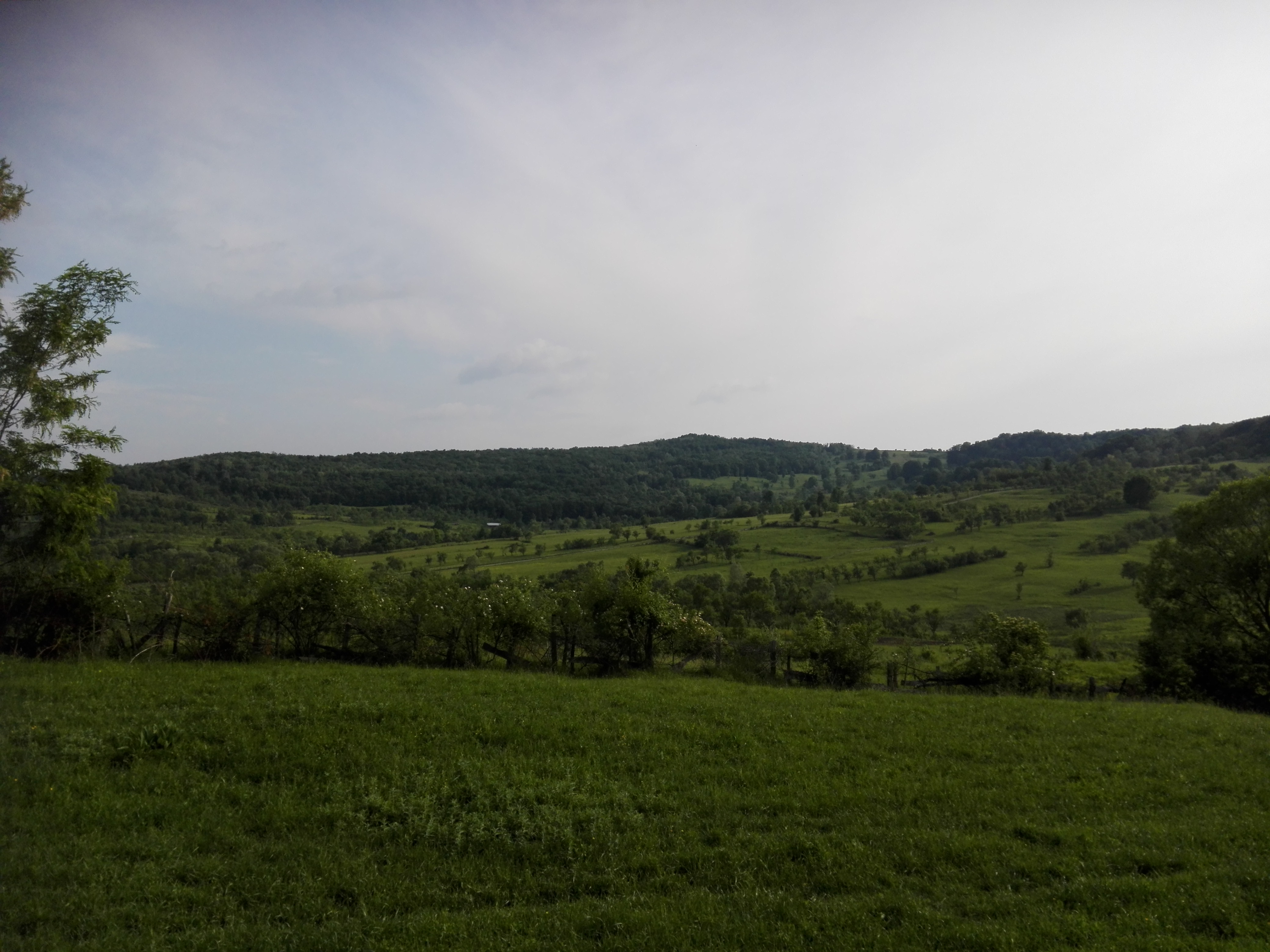 Vremea, luni, în Oltenia (audio)