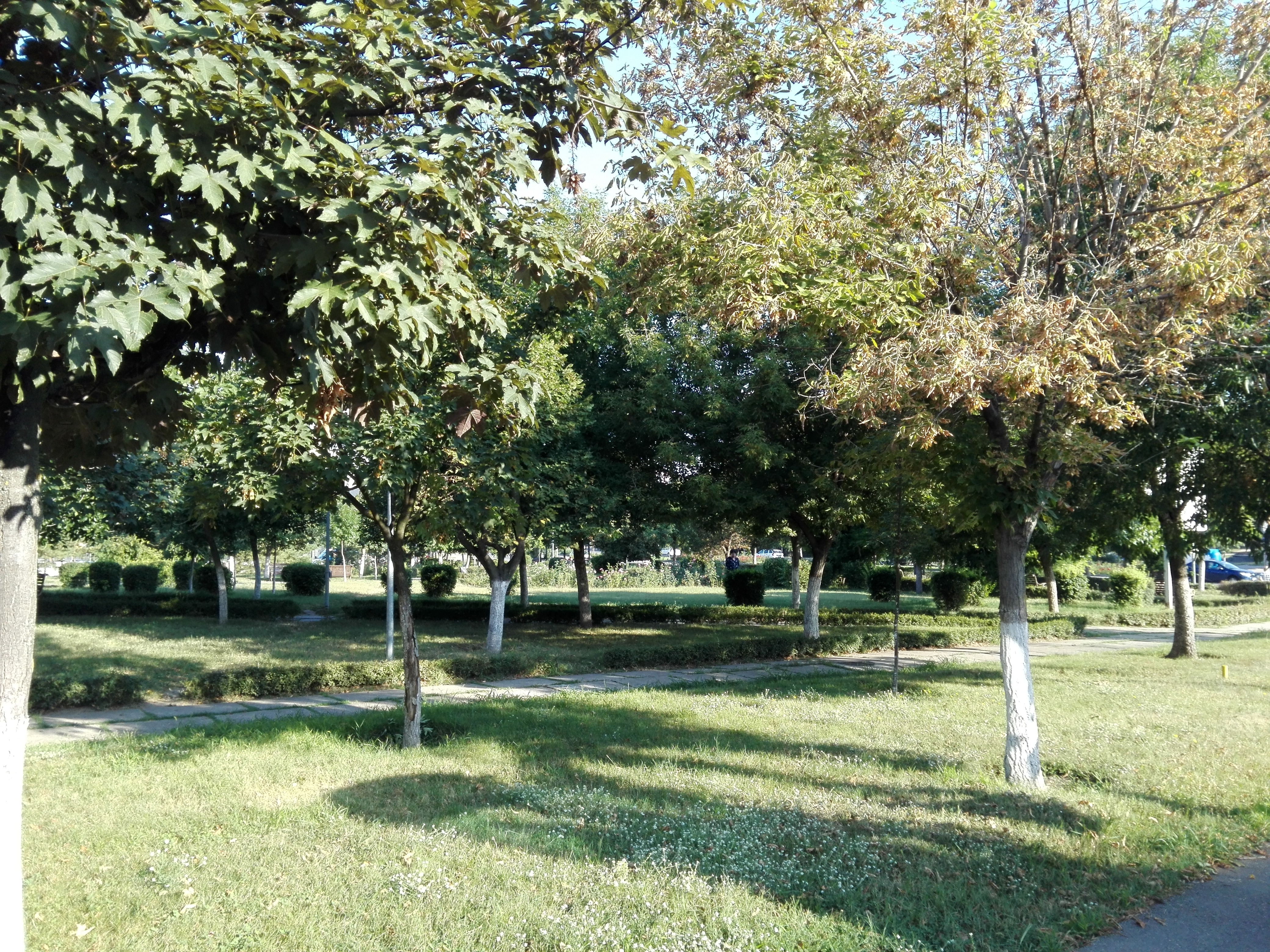 Vremea, 6/7 august, în Oltenia (audio)