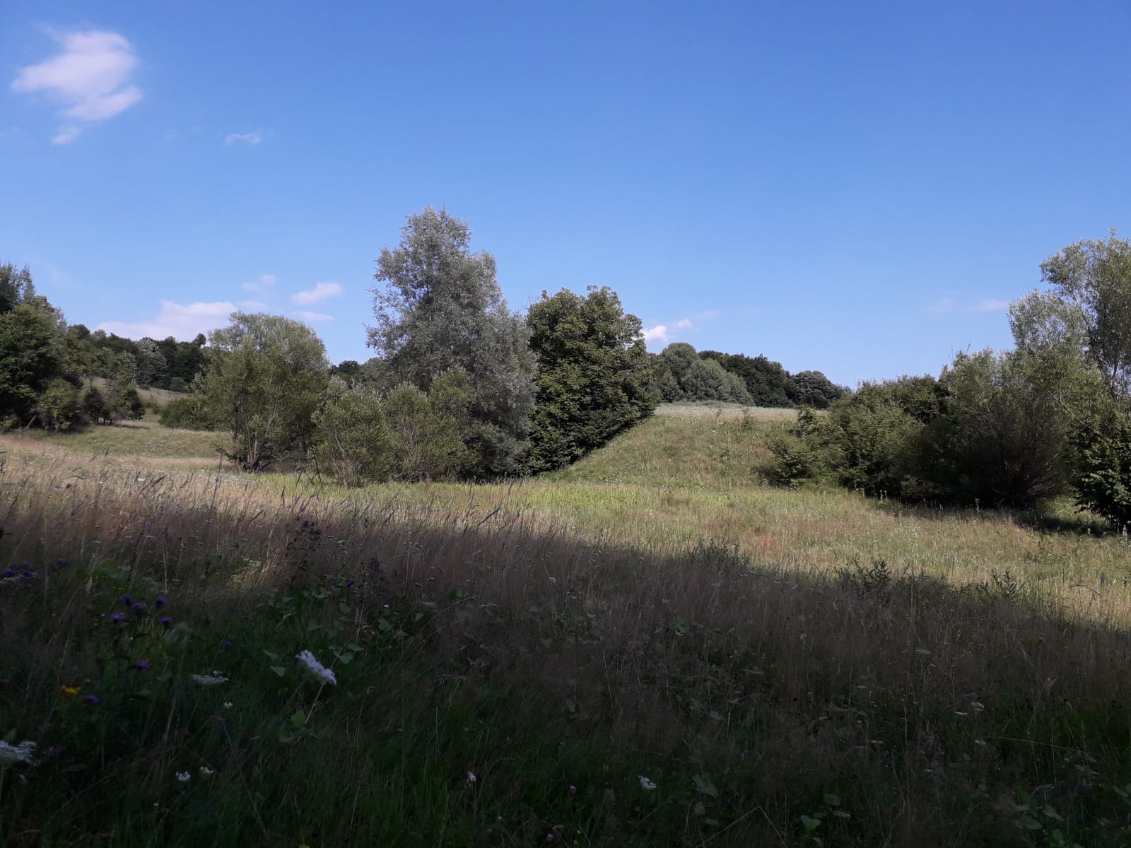 Vremea, 7/8 august, în Oltenia