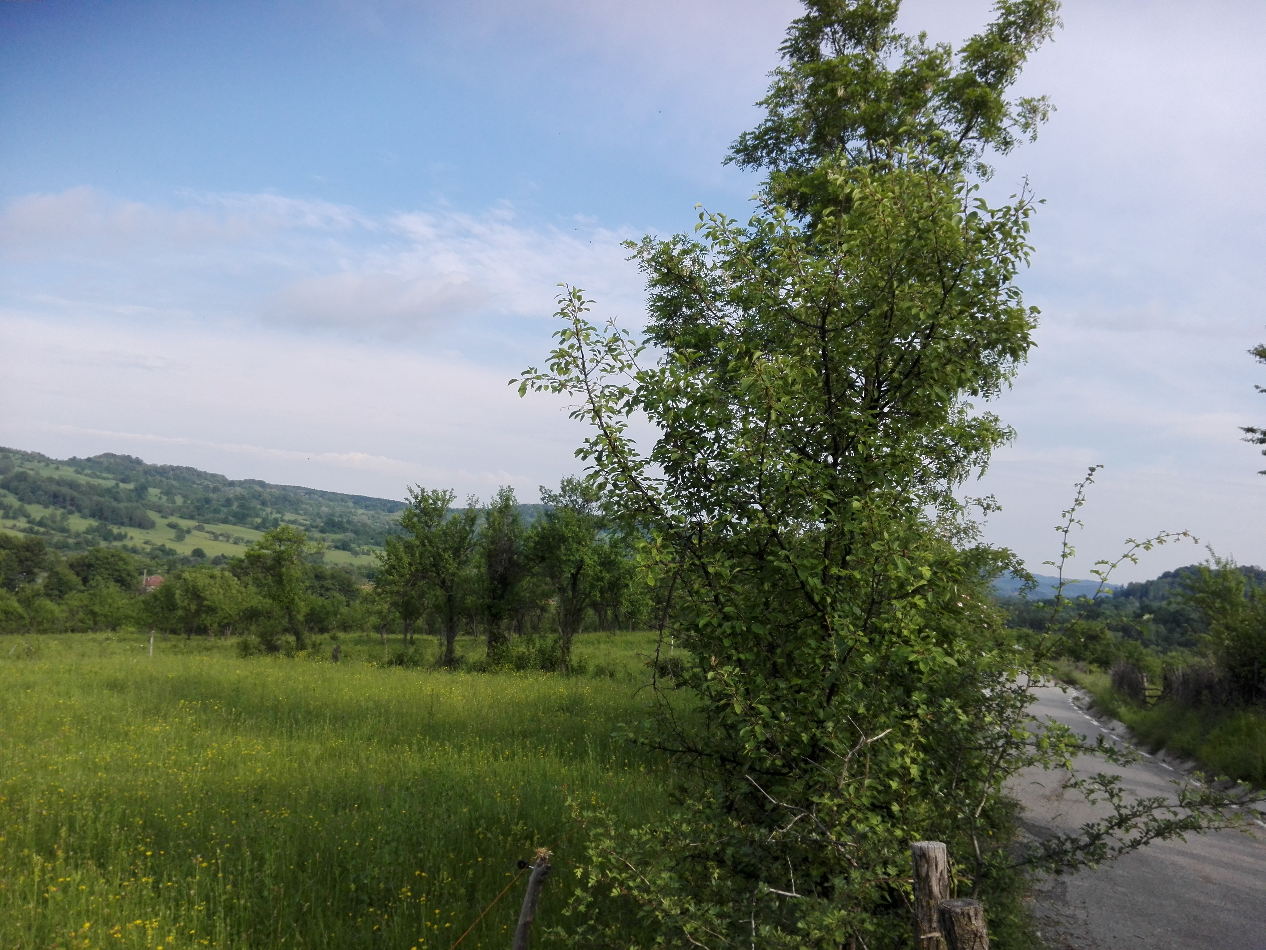 Azi despre ieri – 5 august 2019