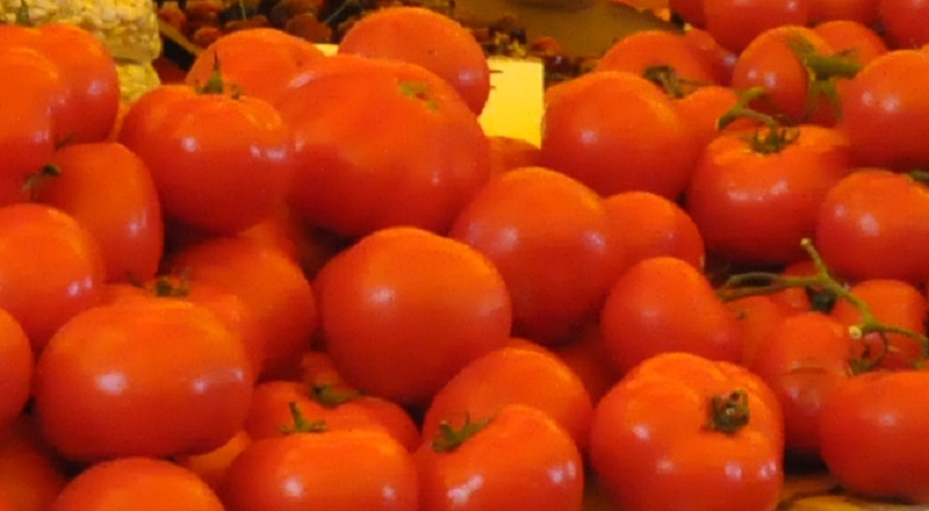 Cea mai mare bătaie cu roșii din lume