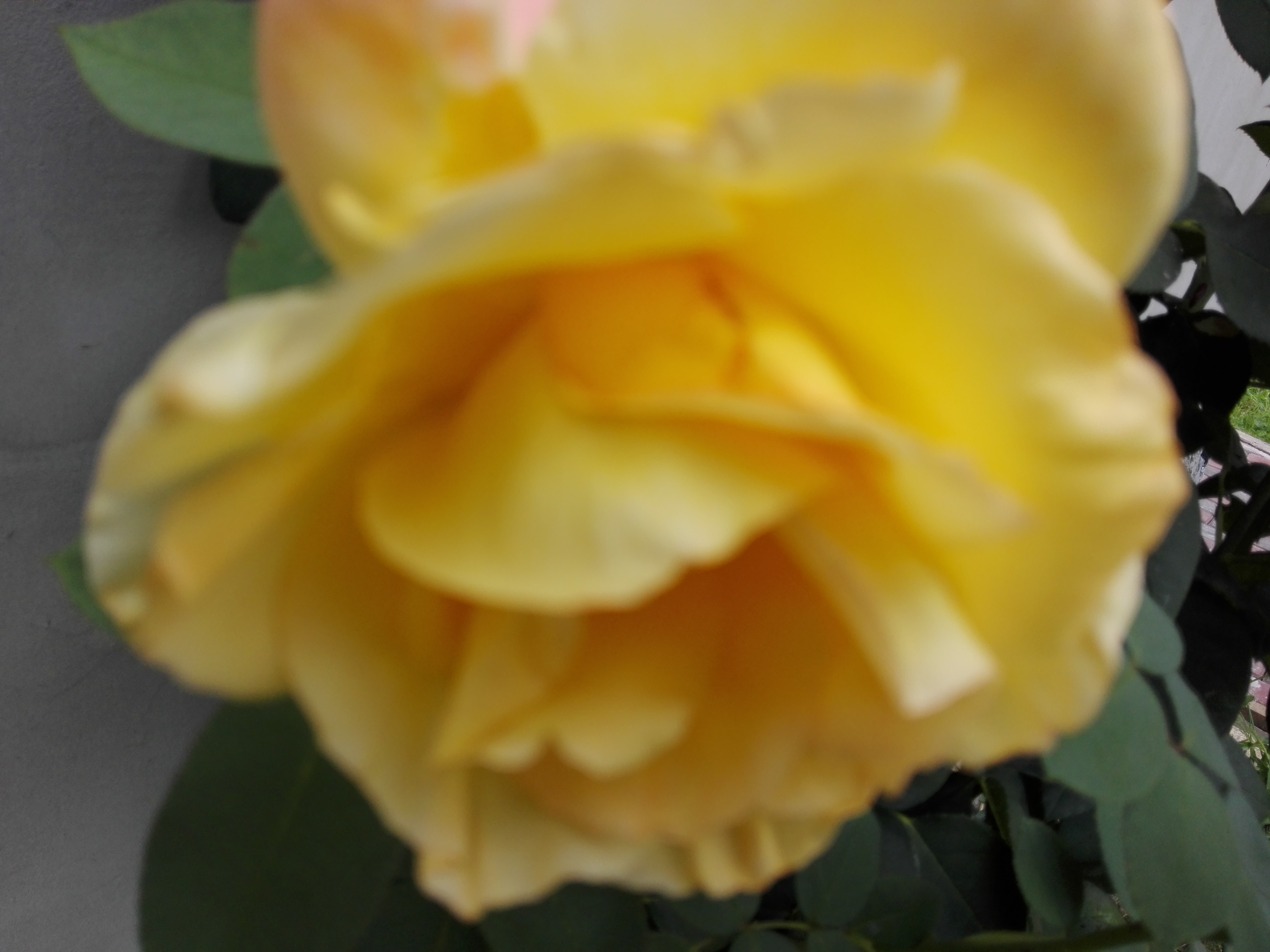 Azi despre ieri – 6 septembrie 2019