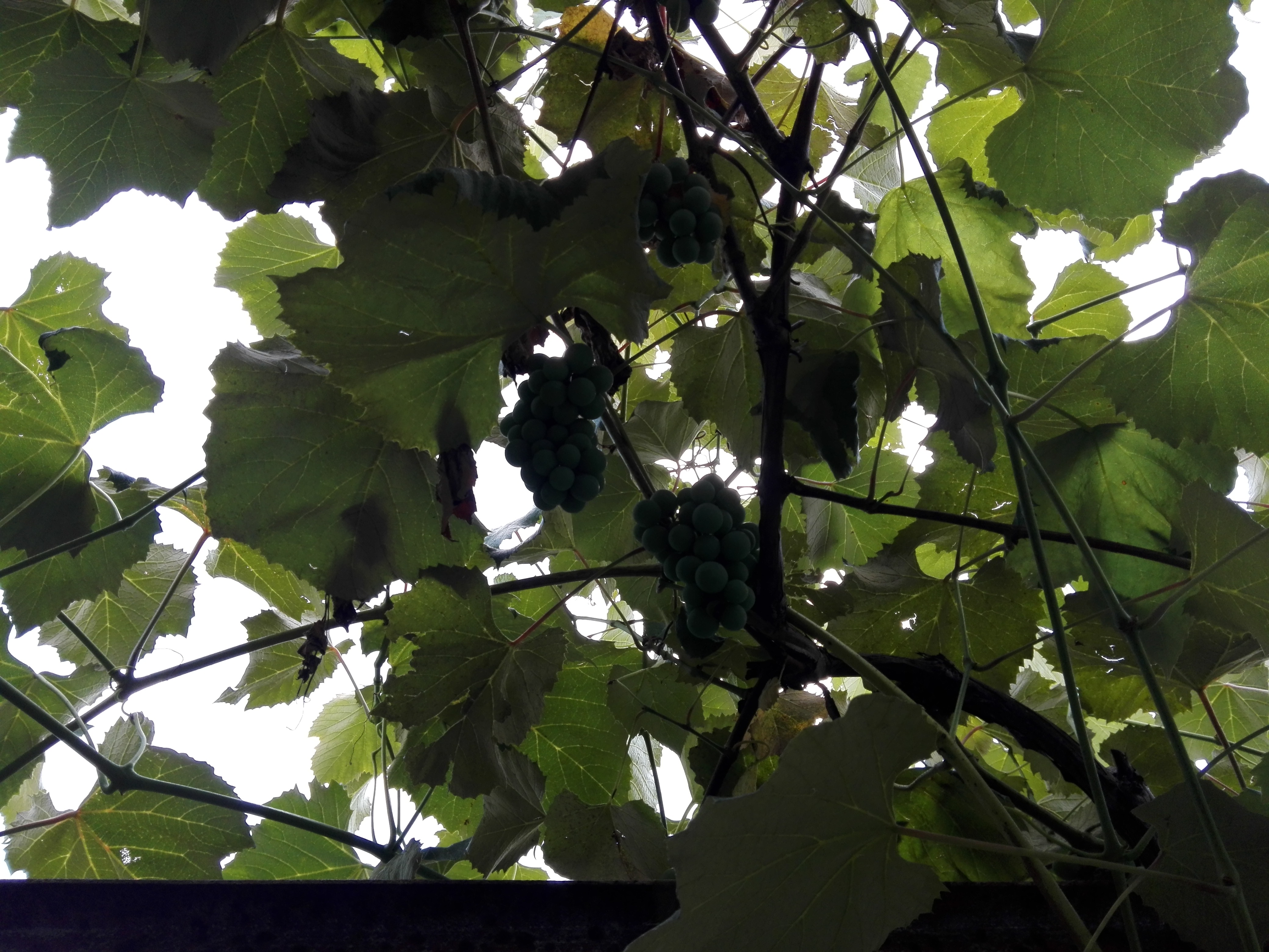 Azi despre ieri – 10 septembrie 2019