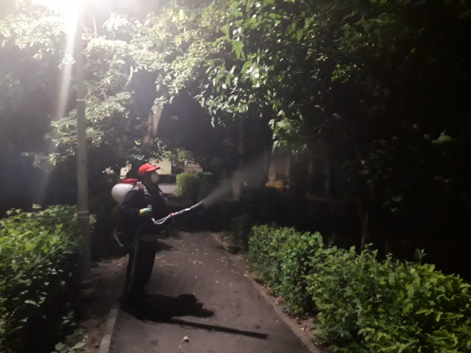 Dezinsecție la Craiova