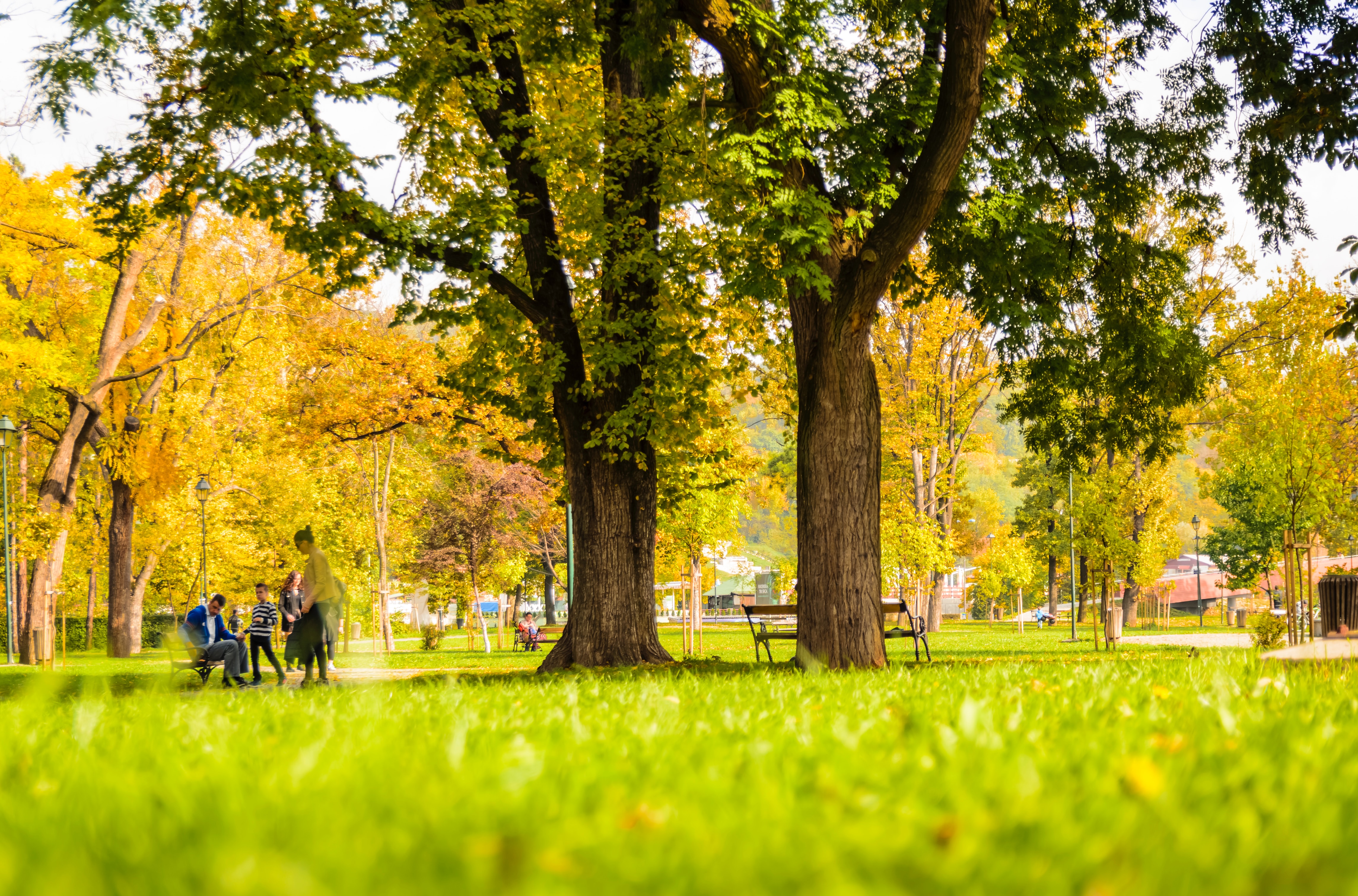 Slătinenii, invitaţi să aleagă numele noului parc