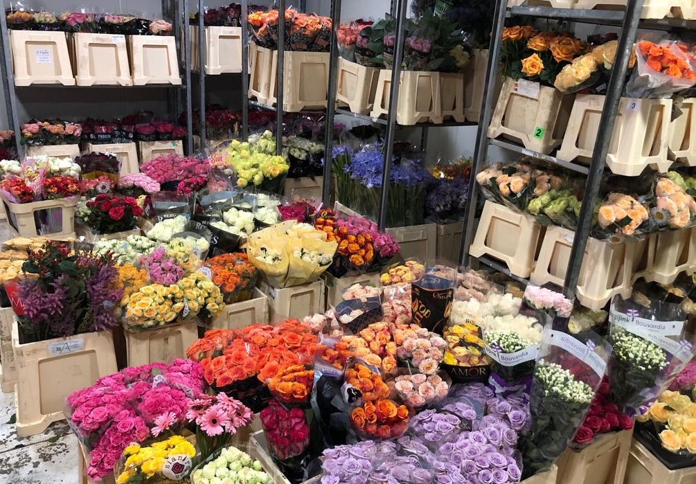 Craiova. Evaziune fiscală în domeniul comercializării florilor și plantelor ornamentale